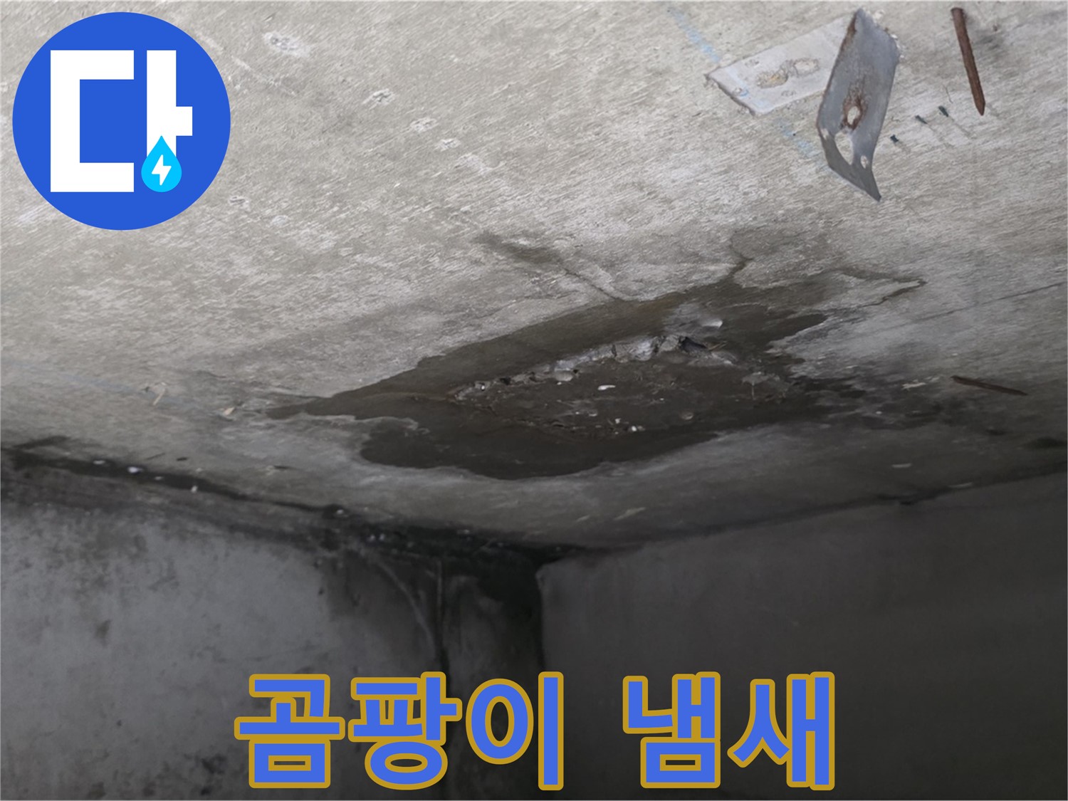 곰팡이 냄새 진동하는 콘크리트 천장 - 남양주 오남 누수