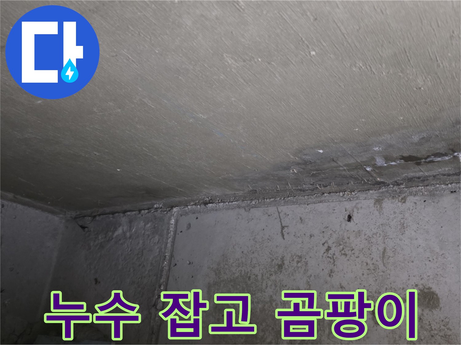 남양주 오남 두산아파트 베란다 곰팡이 - 누수 해결이 먼저