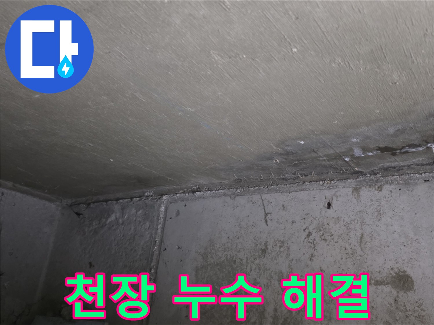 남양주 오남리 두산아파트 천장 누수 - 곰팡이 문제 해결