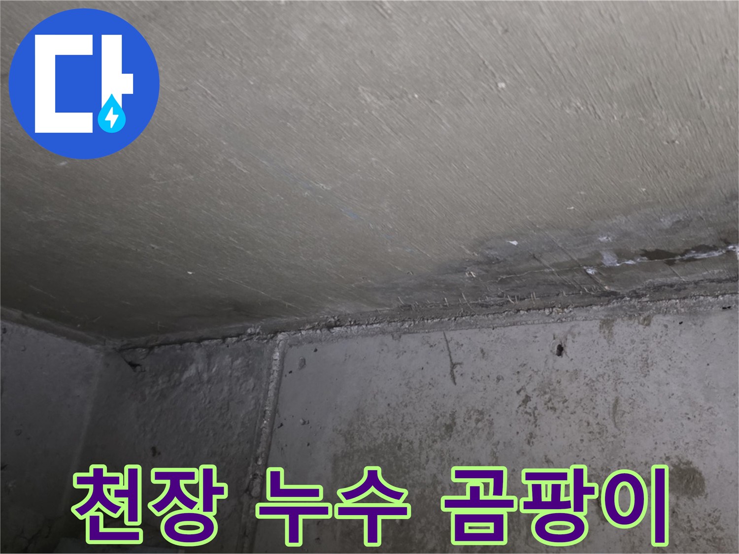 남양주 오남리 아파트 천장 곰팡이 - 심각한 누수