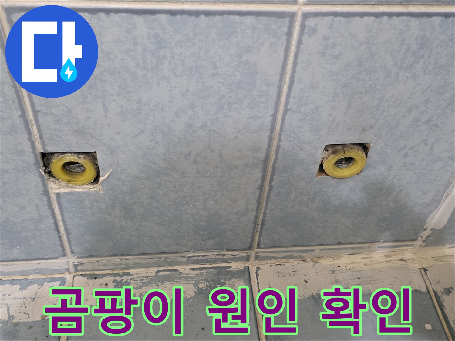 남양주 오남읍 누수 - 샤워 수전 연결부 주변 곰팡이 발생 원인 확인