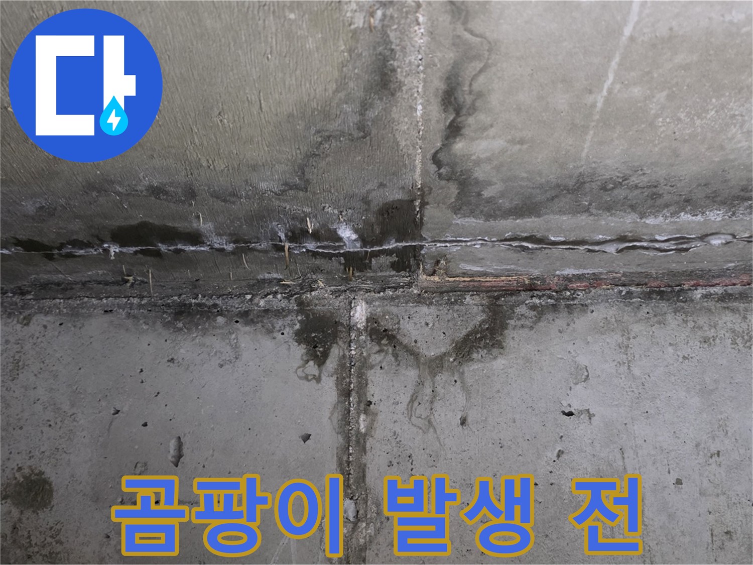 남양주 오남읍 두산아파트 벽 누수 - 곰팡이 발생 전 해결