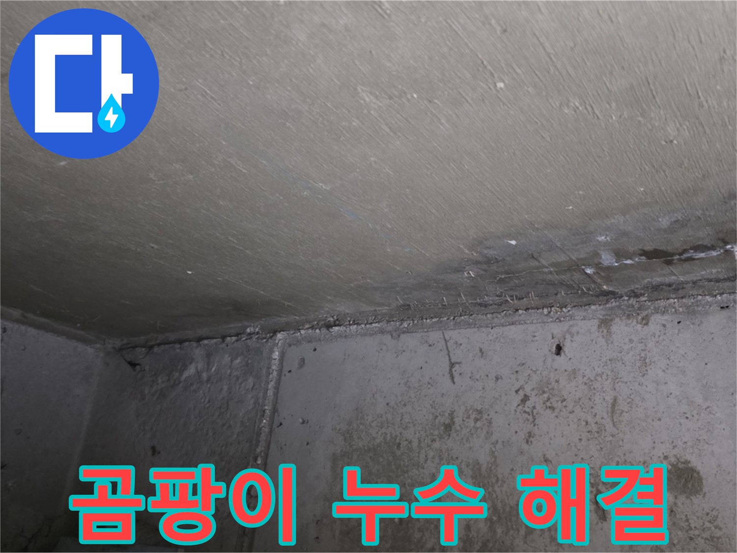 남양주 오남읍 두산아파트 천장 곰팡이 - 실내 공기 오염