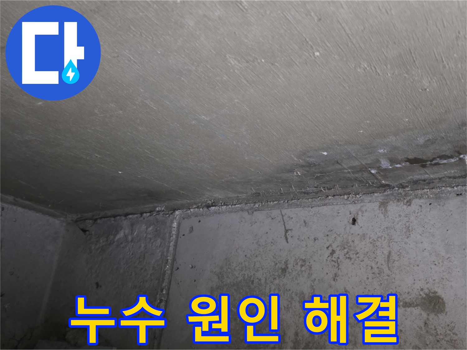 오남 두산아파트 천장 곰팡이 - 누수 원인 분석 및 맞춤 해결