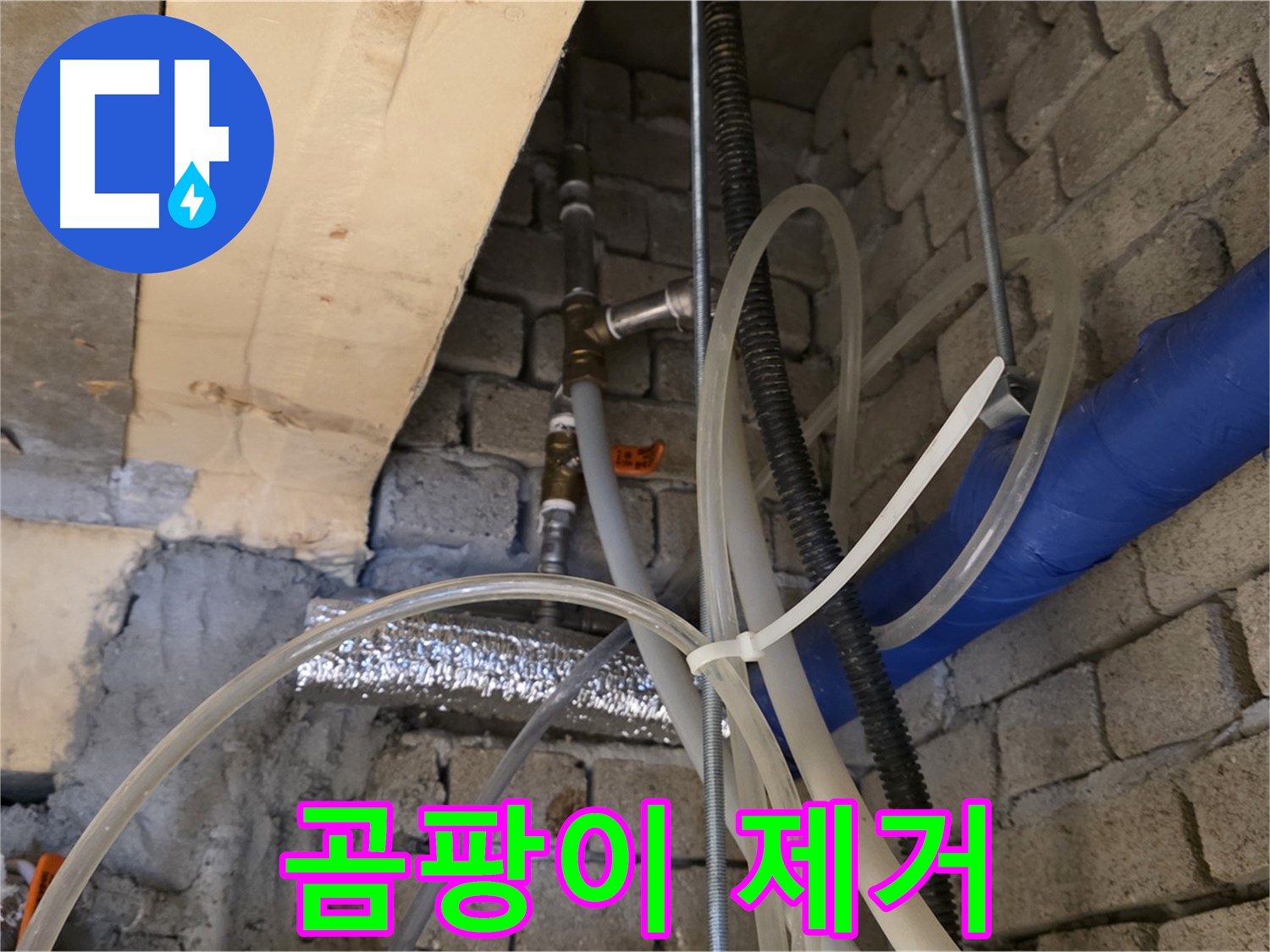 다산동 누수 현장 - 누수 때문에 젖은 벽의 곰팡이까지 깨끗하게 제거해 드립니다 - 쾌적한 환경!