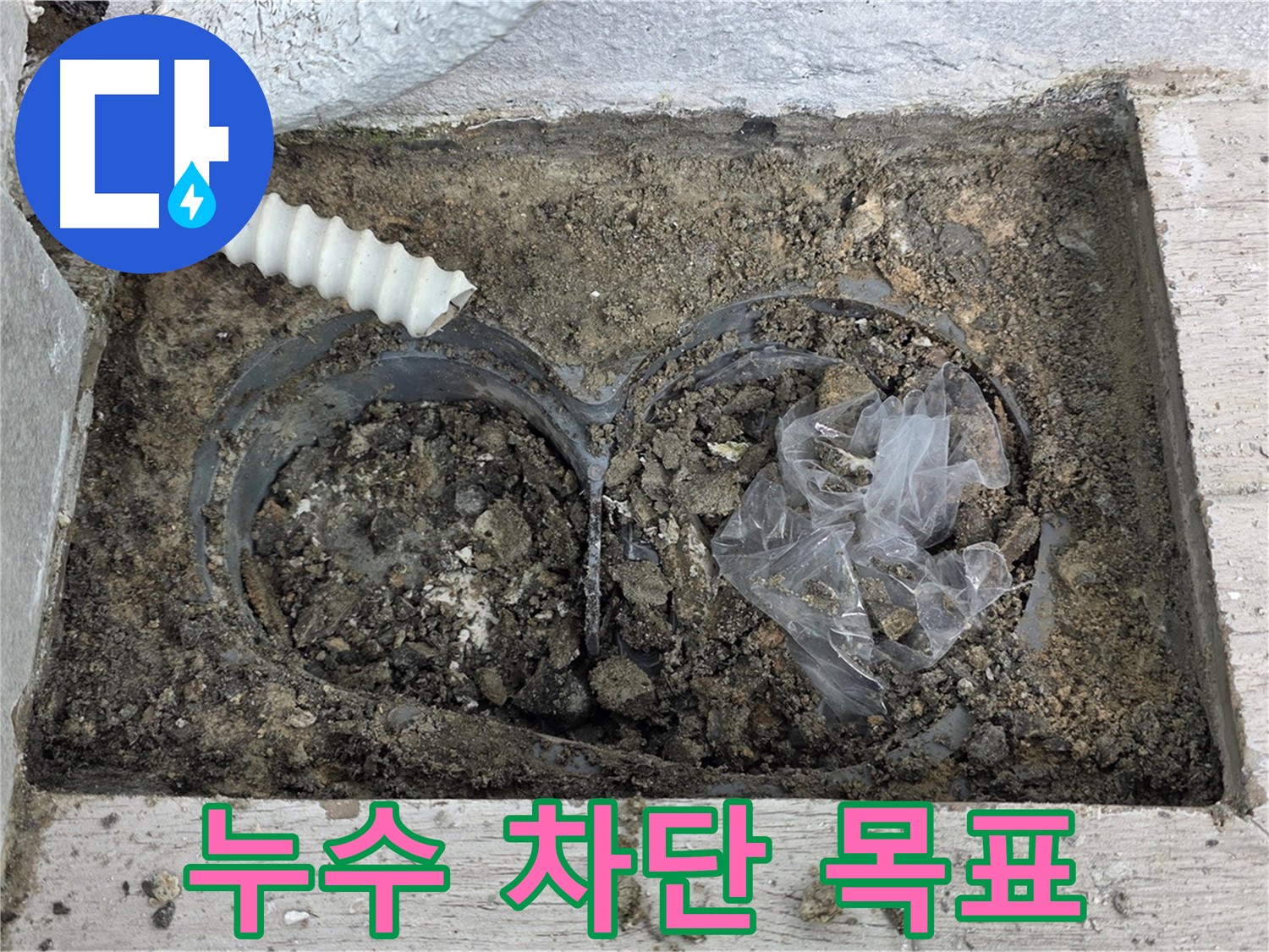 노원구 누수 전문가가 중계동 청구3차 아파트 배수구 주변 누수를 완벽하게 차단하기 위해 노력하고 있습니다 - 믿고 맡겨주세요!