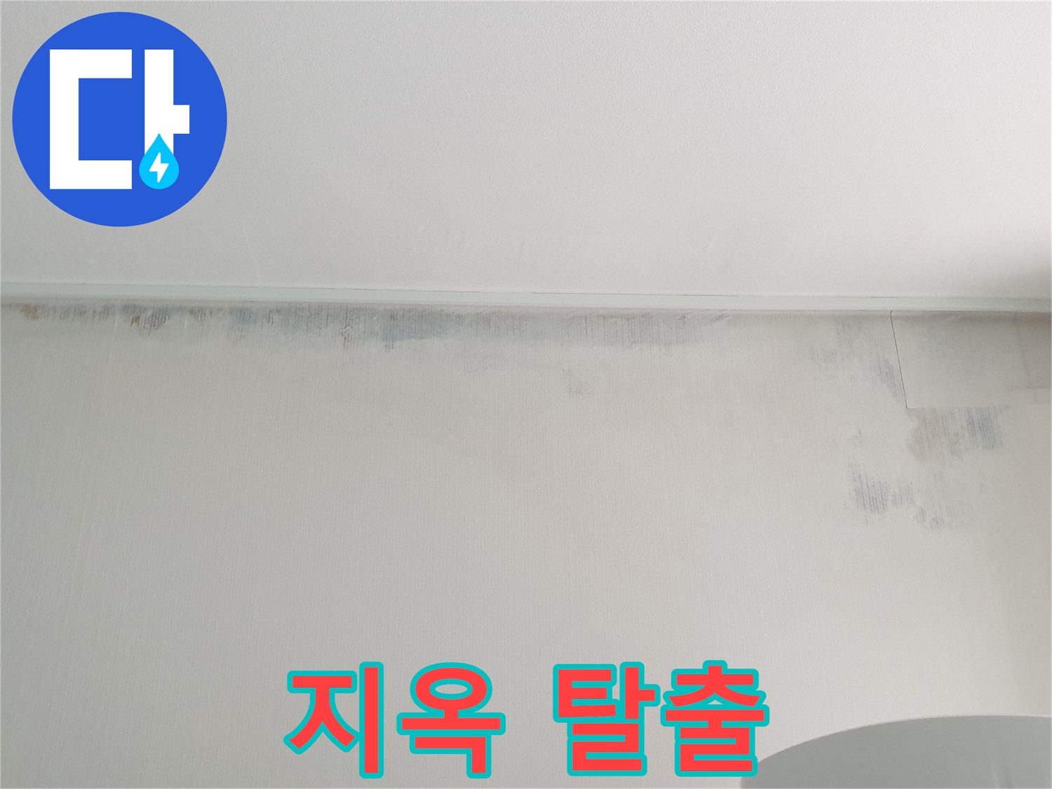 노원구 중계동 곰팡이 - 곰팡이 지옥 탈출