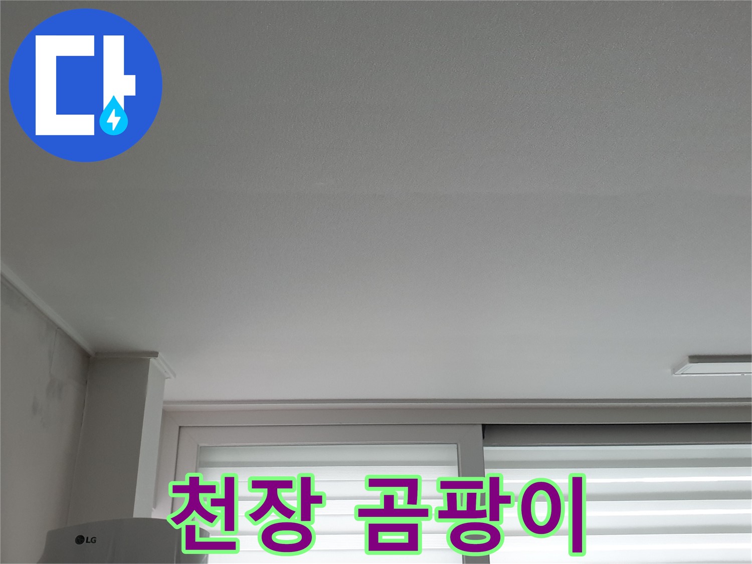 노원구 중계동 청구3차 아파트 천장에 발생한 곰팡이 - 건강에 해로울 수 있습니다.
