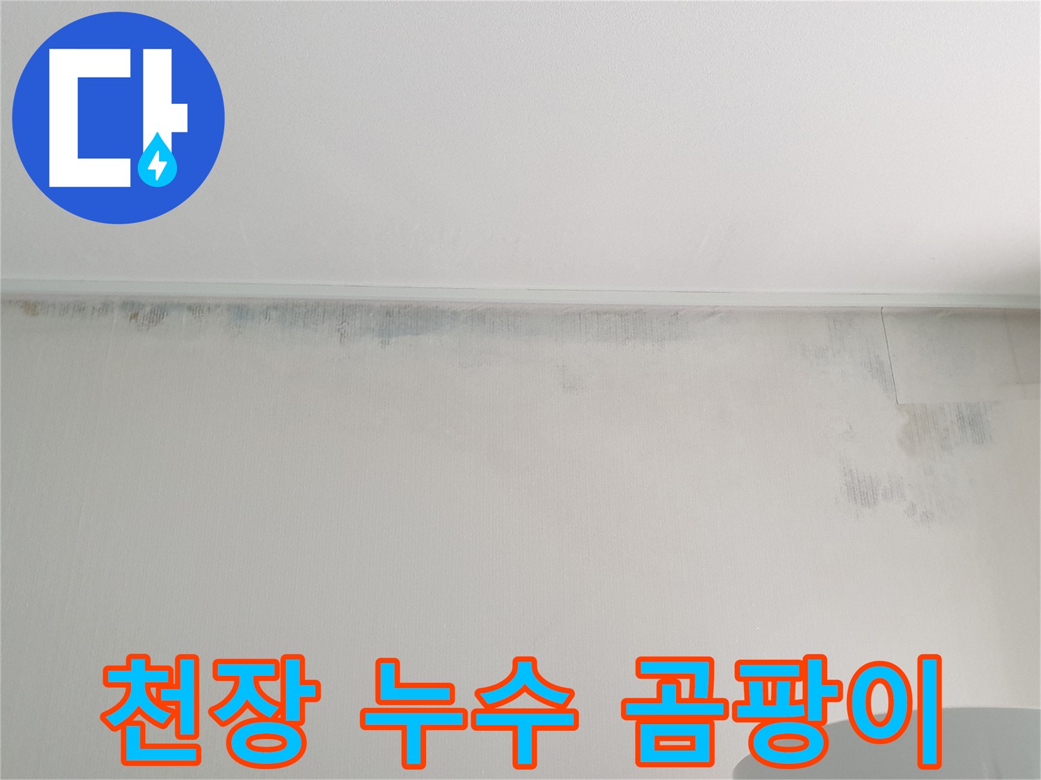 중계동 아파트 천장 곰팡이 - 누수 흔적으로 인한 문제