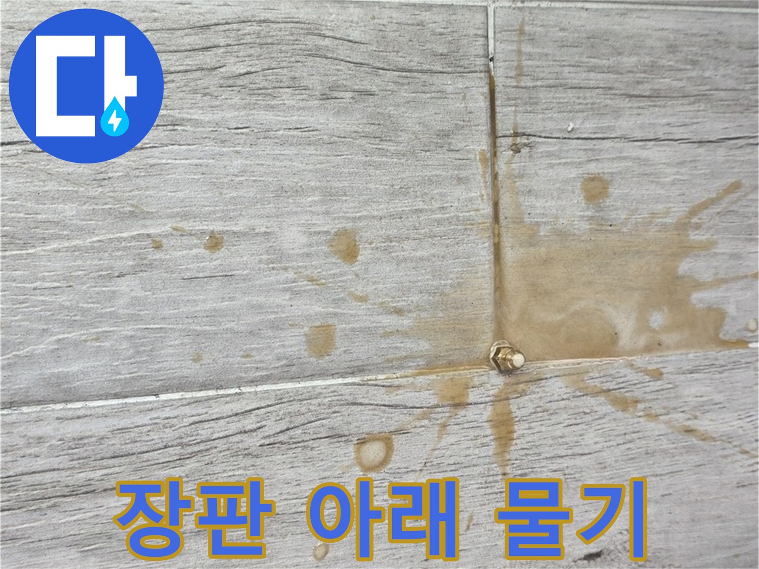장판 아래 물기가 고여있는 모습 - 인젝션 방수로 뽀송하게