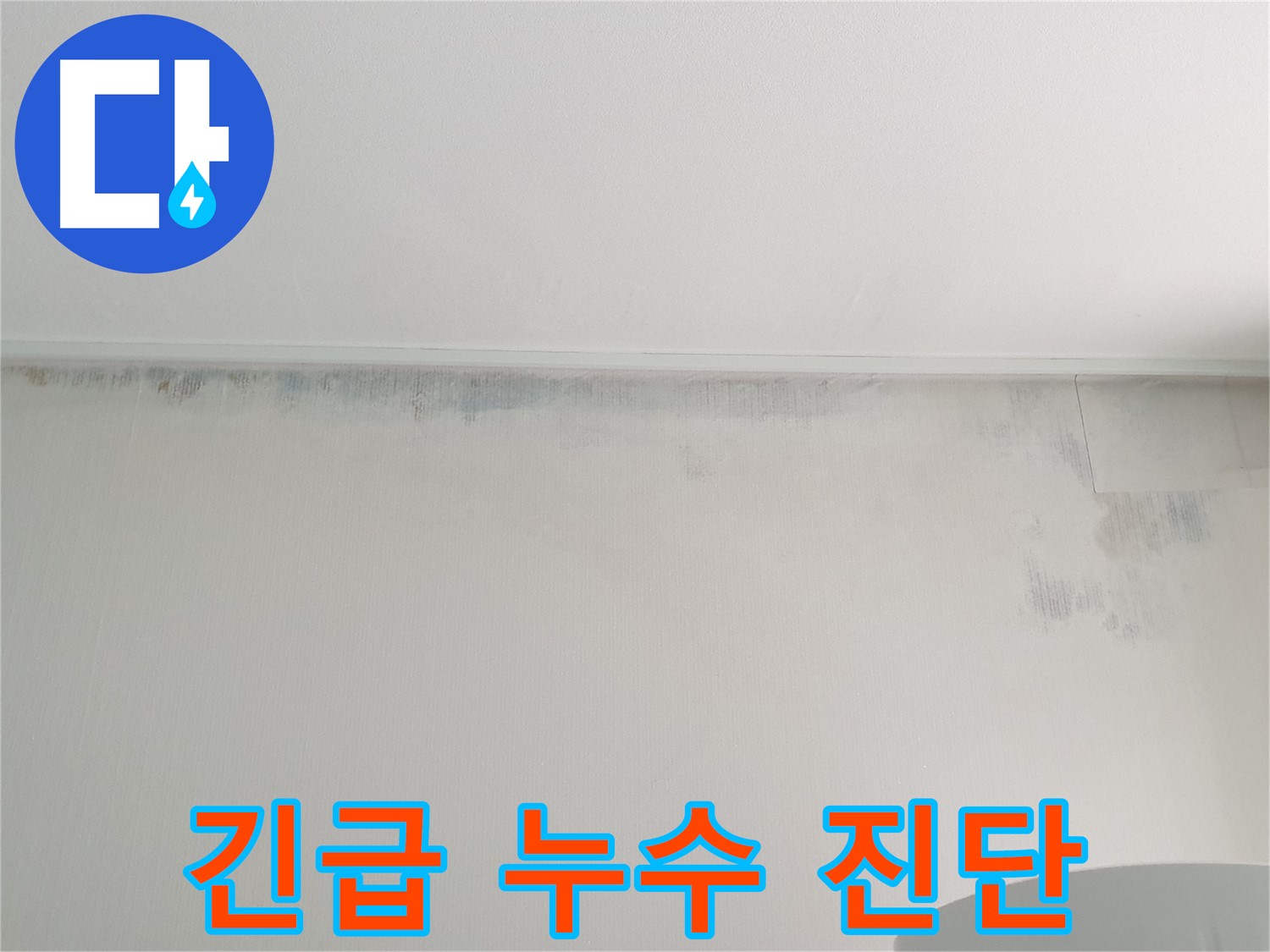 중계2동 청구3차 곰팡이 - 긴급 누수 진단