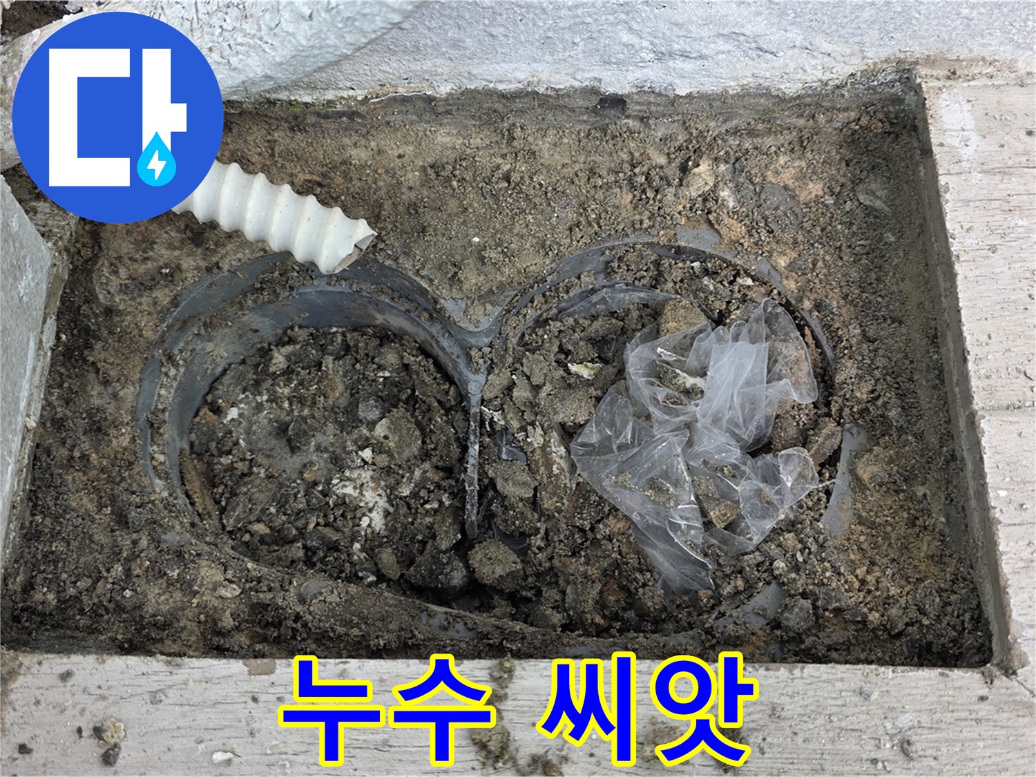 중계동 청구3차 아파트 누수 - 배수구 속 흙, 누수의 씨앗일까요?