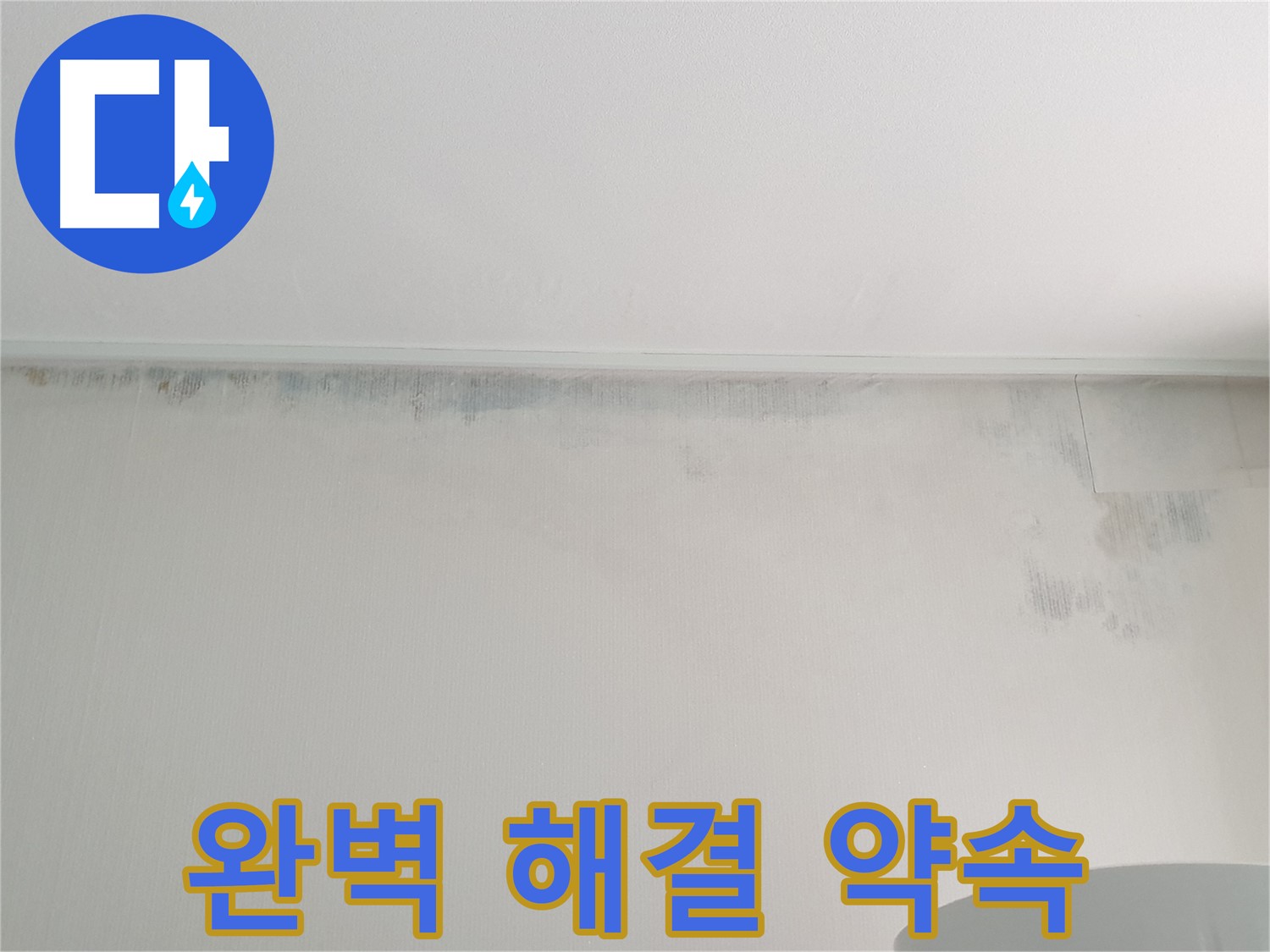중계동 청구3차 아파트 벽 곰팡이 - 완벽 해결 약속