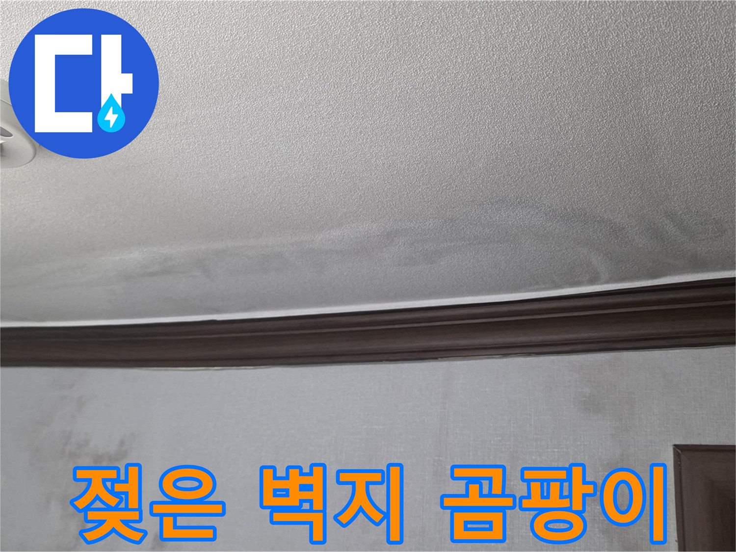 미아동 빌라 천장 누수 - 젖은 벽지와 곰팡이 흔적