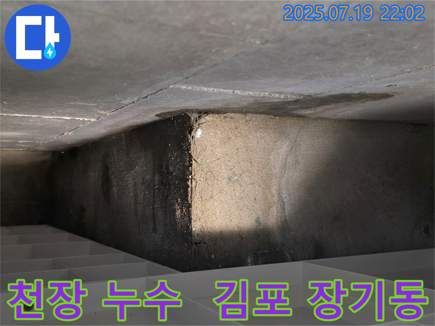 김포 장기동 아파트 천장 누수 - 누수탐지 전문가의 꼼꼼한 진단과 해결 과정