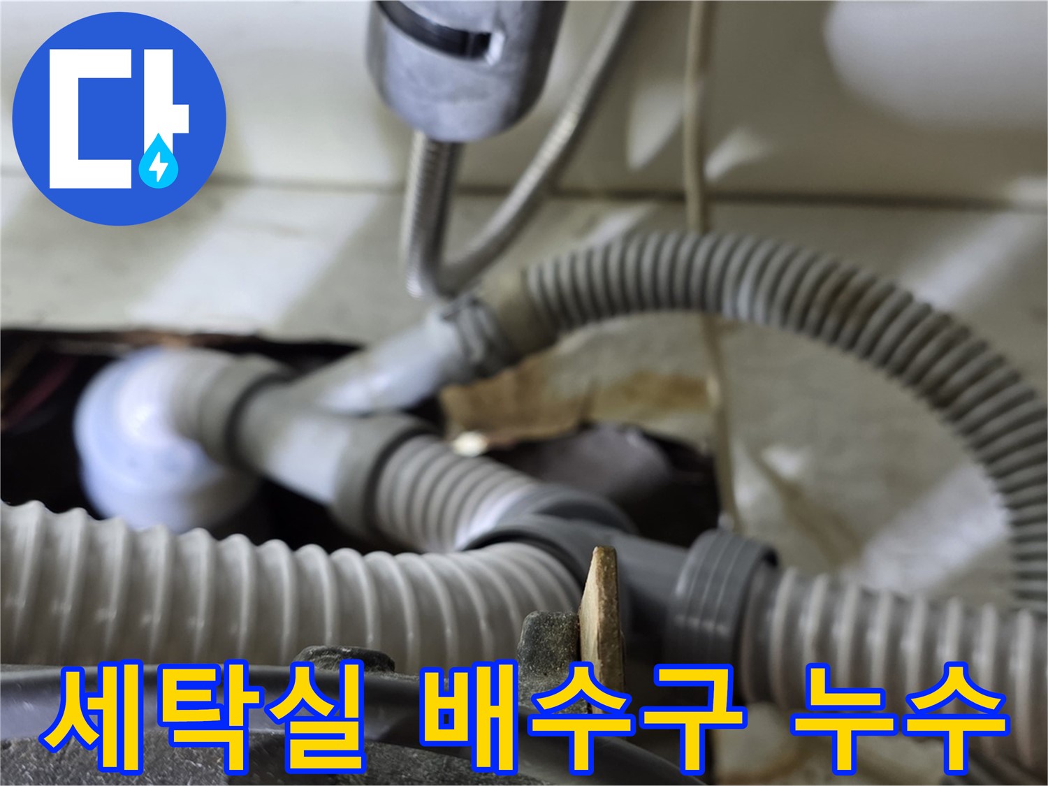 세탁실 배수구 주변 누수 - 낡은 배수관 연결 부위의 문제로 누수가 발생하여 신속하게 교체 작업을 진행했습니다.