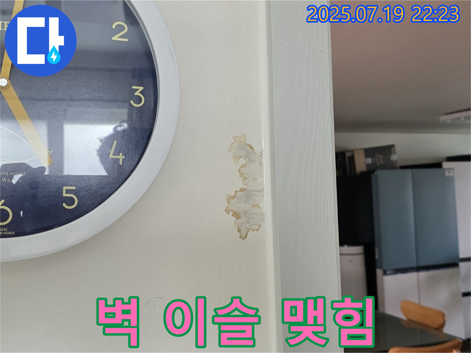 사릉에서 벽에 이슬 맺힘 현상 발견 - 결로인지 누수인지 원인 파악이 중요합니다.