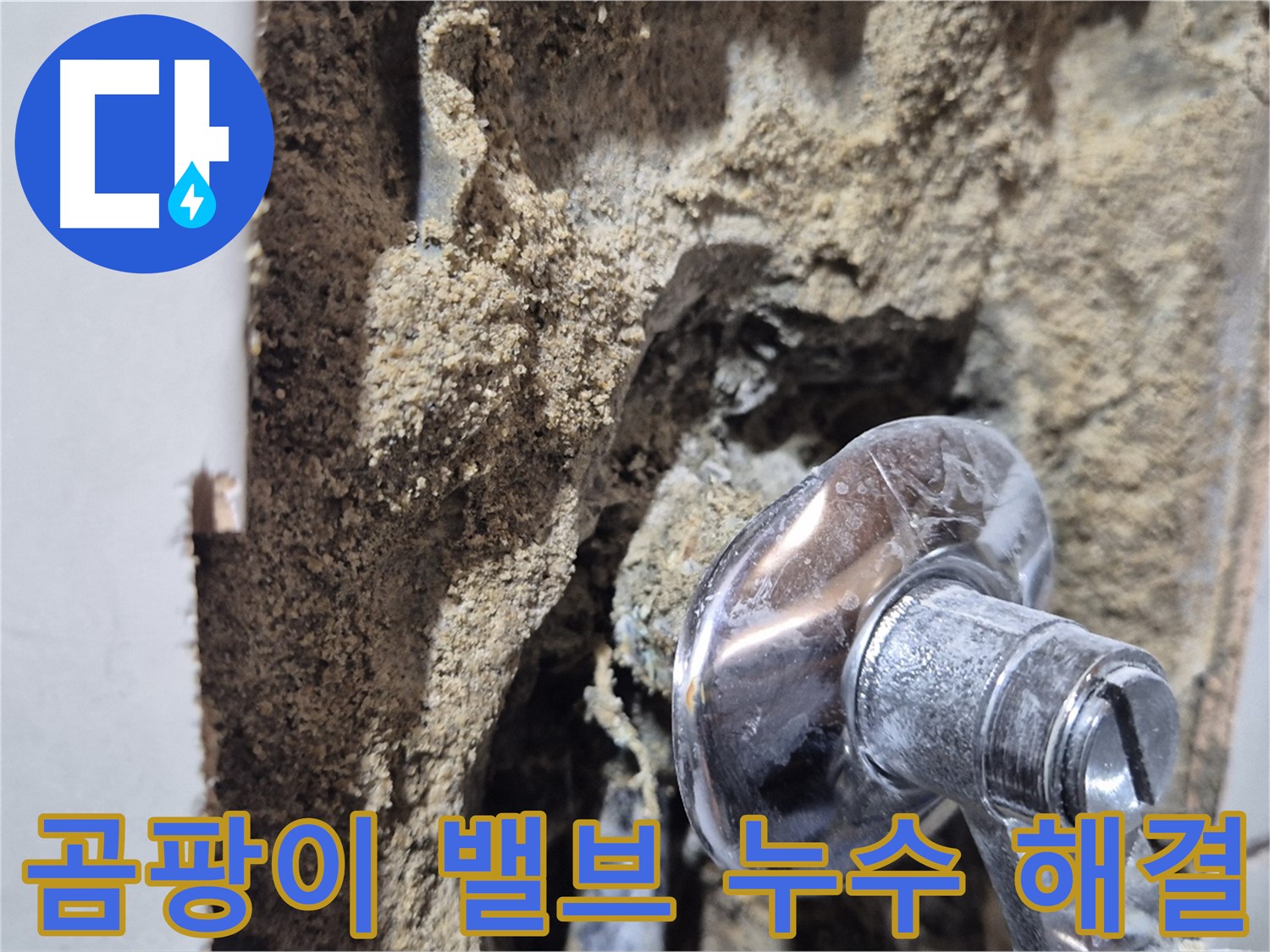 마포구 합정동 현대빌라 - 곰팡이 핀 샤워기 밸브 주변 누수 해결