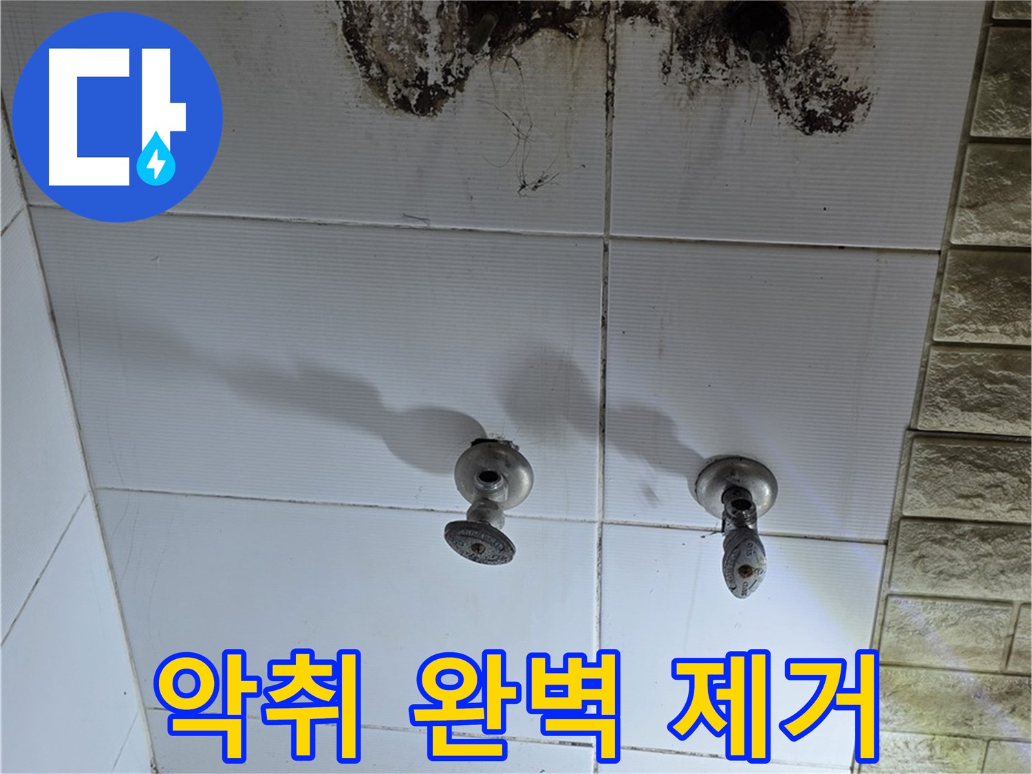 노원구 곰팡이 악취 욕실 - 누수 원인을 해결하고 곰팡이 냄새까지 완벽하게 제거해 드립니다.