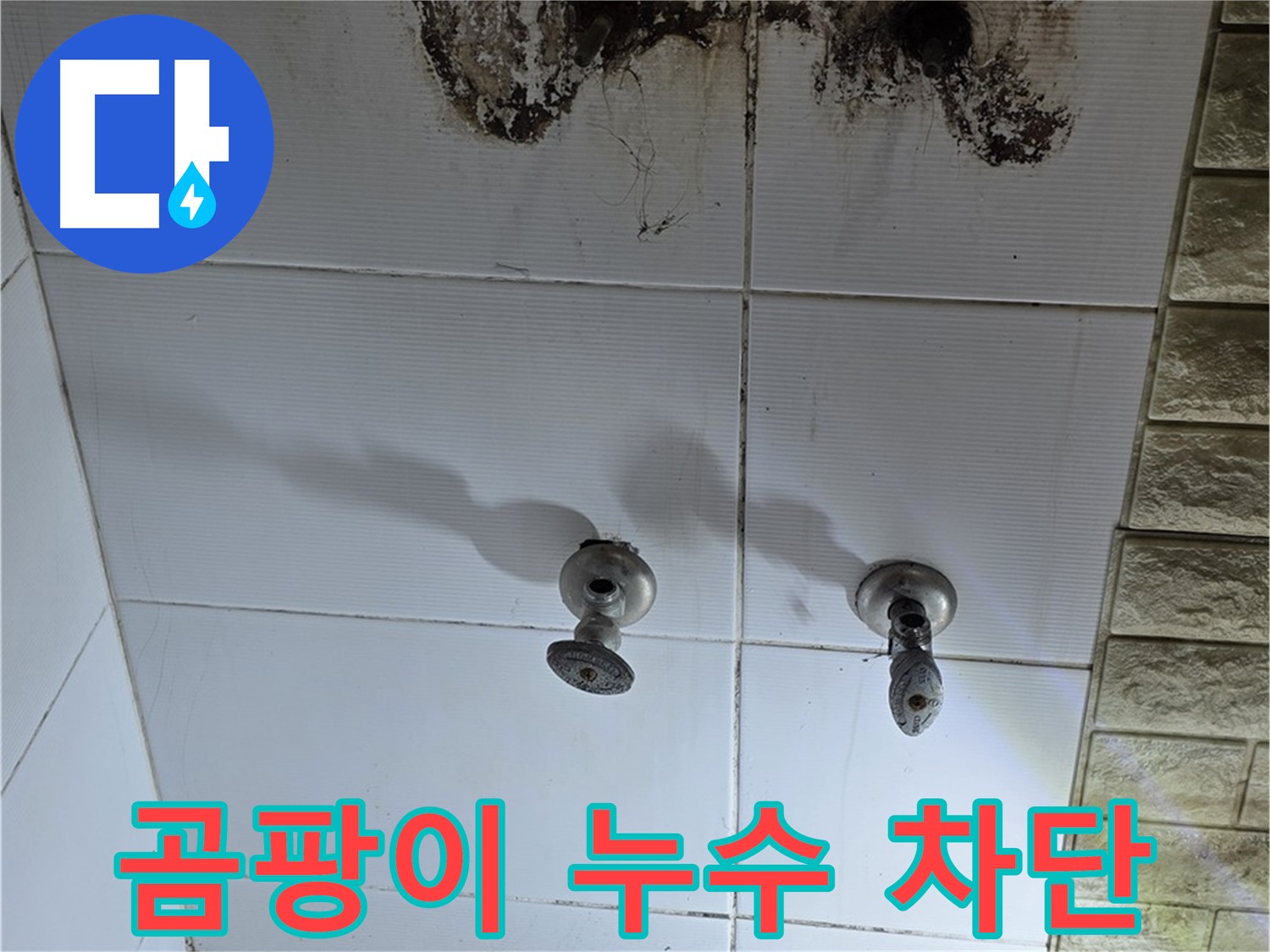 노원구 곰팡이 핀 욕실 벽 - 누수탐지 전문 기술로 곰팡이와 누수를 완벽하게 차단합니다.