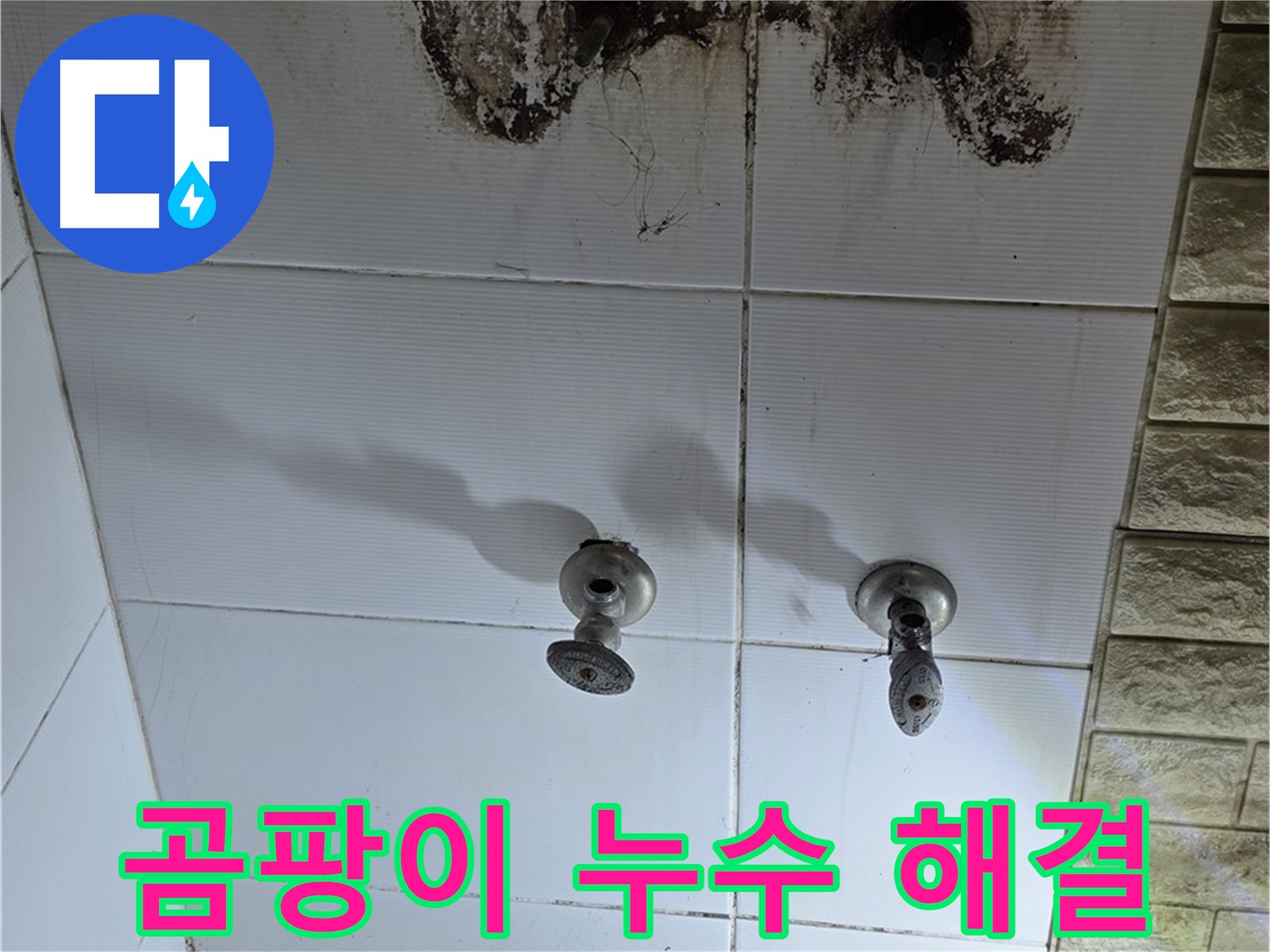 노원구 상계동 곰팡이 핀 욕실 벽 - 누수 잡고 곰팡이 OUT! 쾌적한 욕실을 만들어 드립니다.