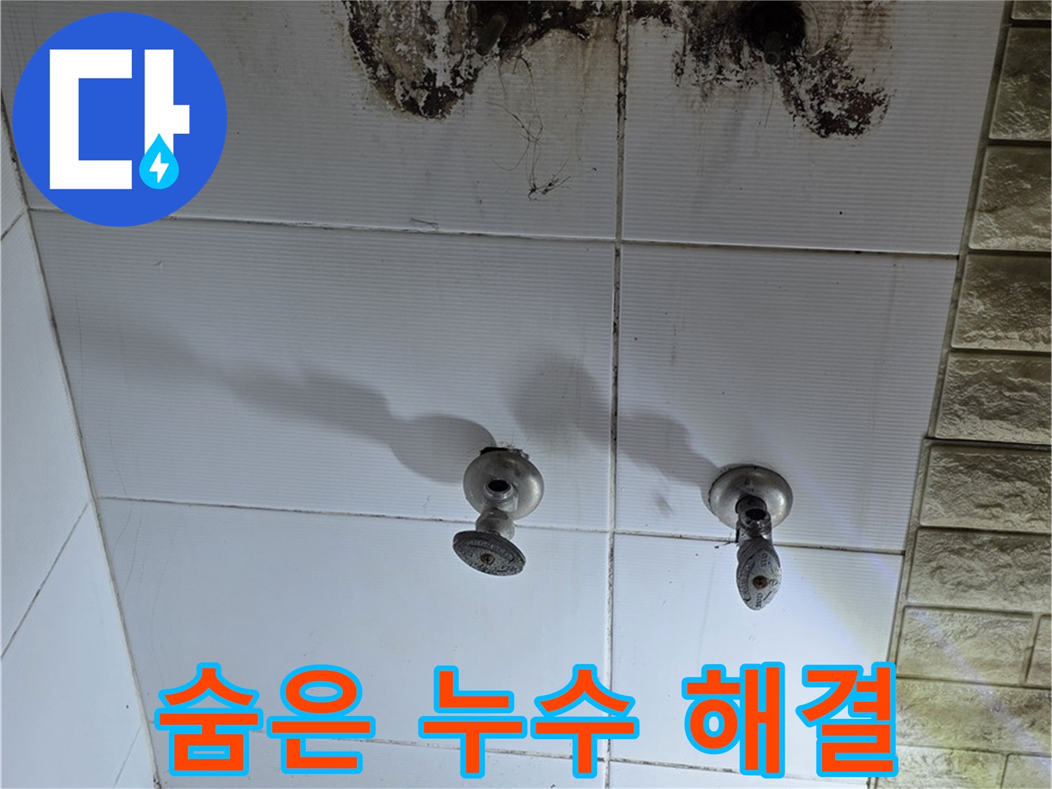 노원구 상계동 곰팡이 핀 욕실 - 숨겨진 누수, 이제 걱정 끝! 저희가 해결해 드립니다.