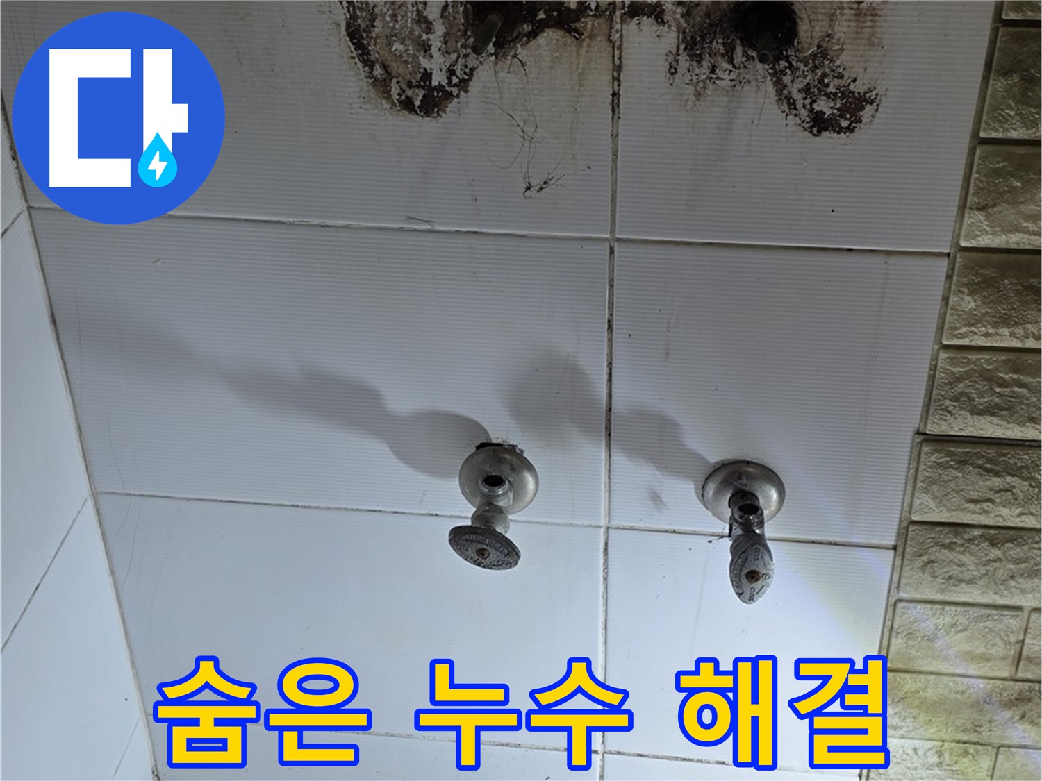노원구 상계동 곰팡이 핀 욕실 - 숨은 누수를 찾아 완벽하게 해결해 드립니다.