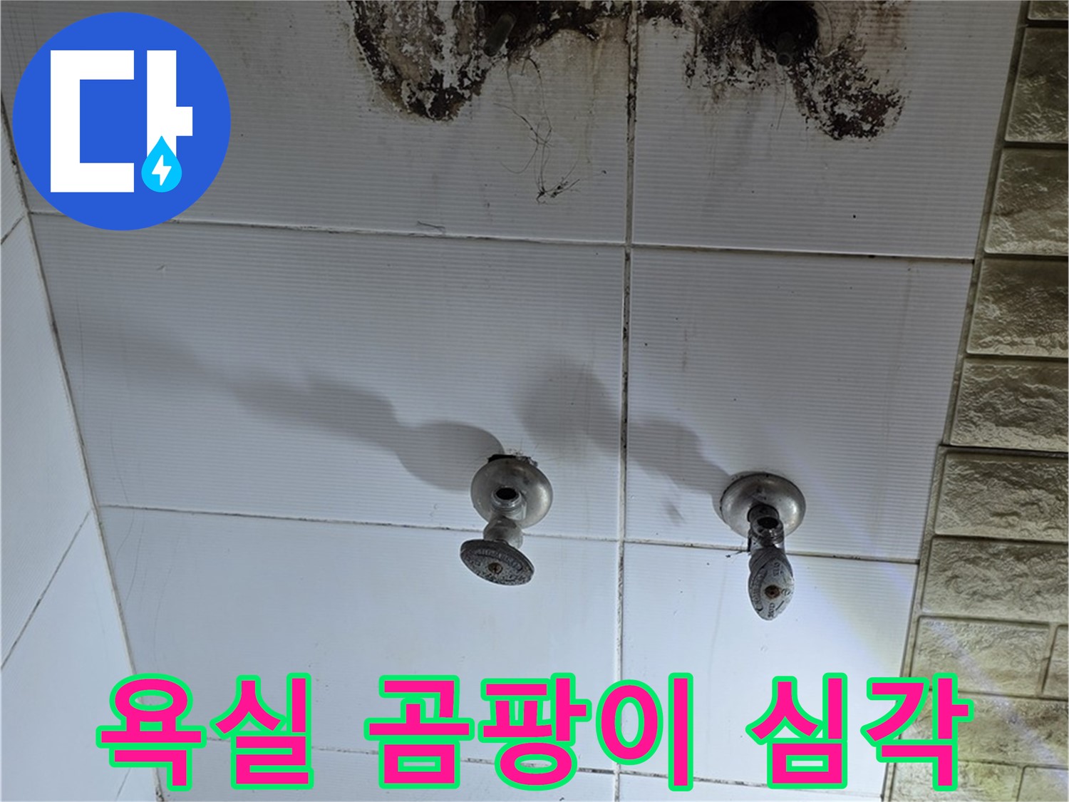 노원구 상계동 욕실 곰팡이 - 누수탐지 전문가가 긴급 점검 및 해결합니다.