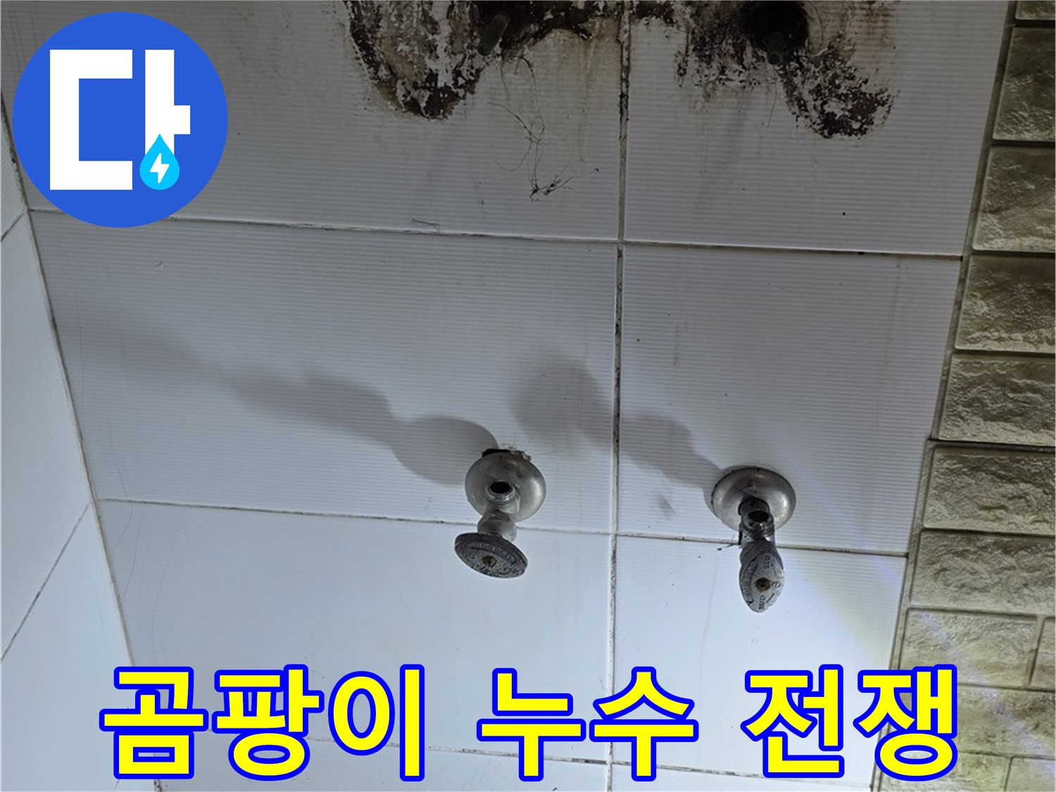노원구 상계동 욕실 곰팡이와 전쟁 - 전문적인 기술로 누수 원인을 찾아 확실하게 해결합니다.