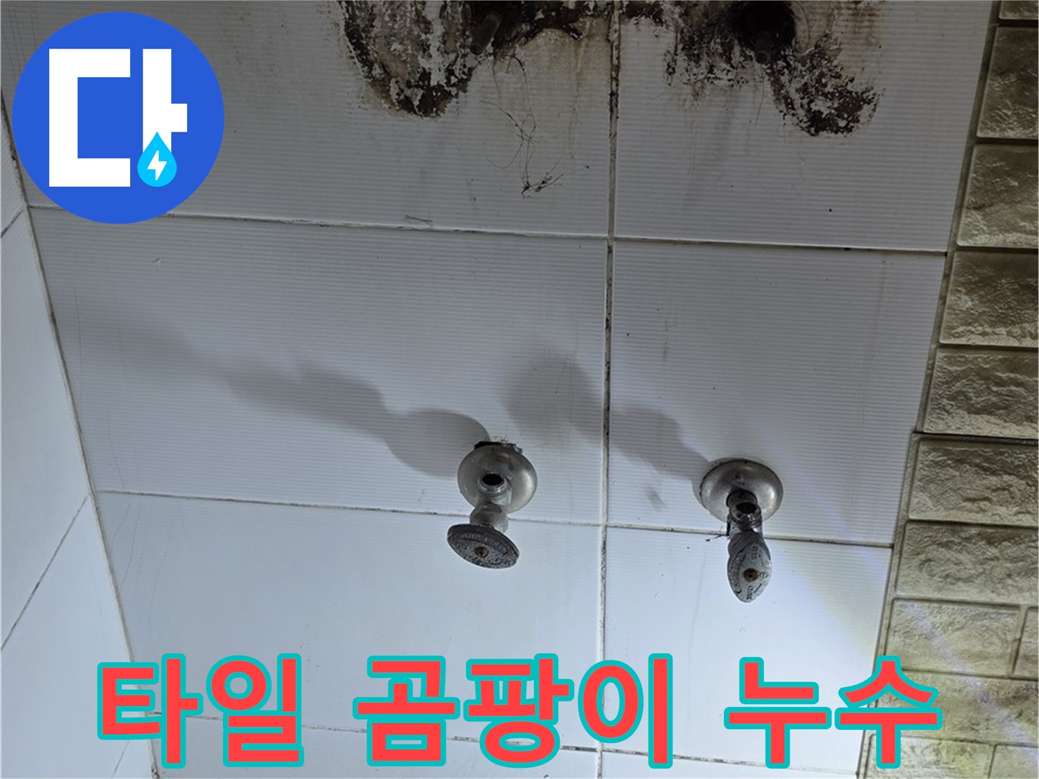 노원구 상계동 욕실 타일 사이 곰팡이 - 숨겨진 누수를 찾아 완벽하게 해결하는 전문 업체를 소개합니다.