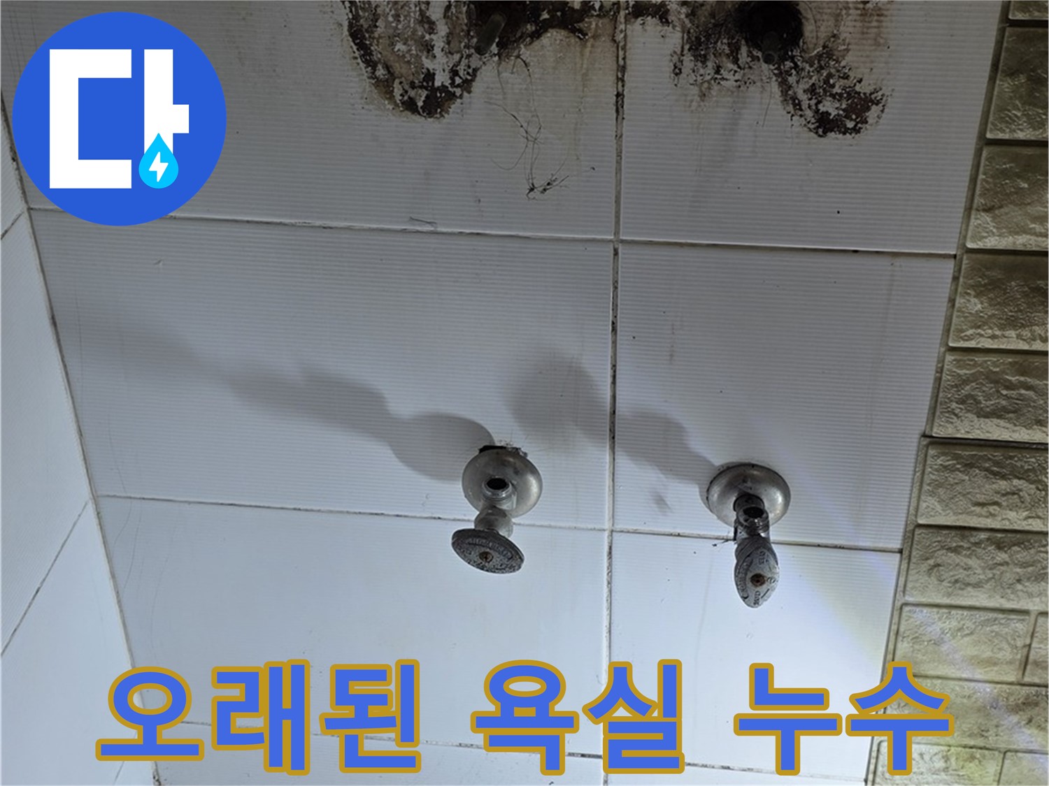 노원구 오래된 아파트 욕실 타일 뒤 누수 문제 해결 - 누수탐지 전문 기술로 완벽하게 차단합니다.