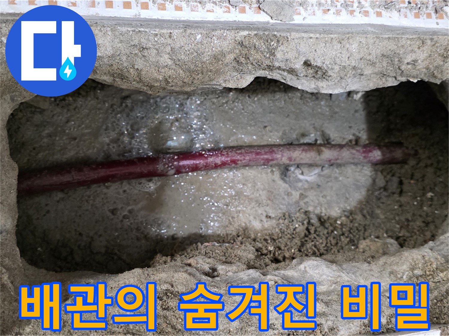 상계동 누수 현장 - 굴착 후 노후 배관의 숨겨진 비밀 확인