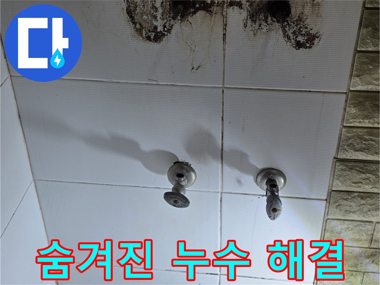 상계동 빌라 곰팡이 핀 욕실 - 숨겨진 누수를 찾아 완벽하게 해결하는 전문 업체를 소개합니다.