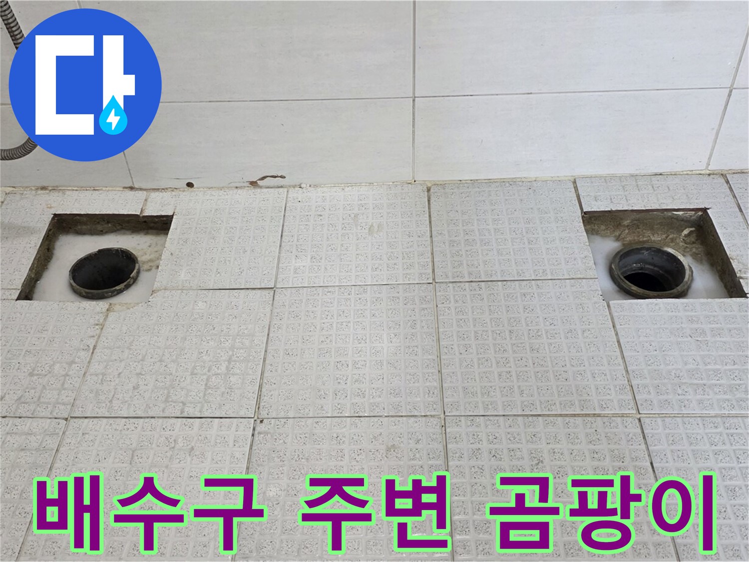 과천 e편한세상 욕실 - 배수구 주변 곰팡이 발견 - 누수가 꽤 오래된 것 같습니다.