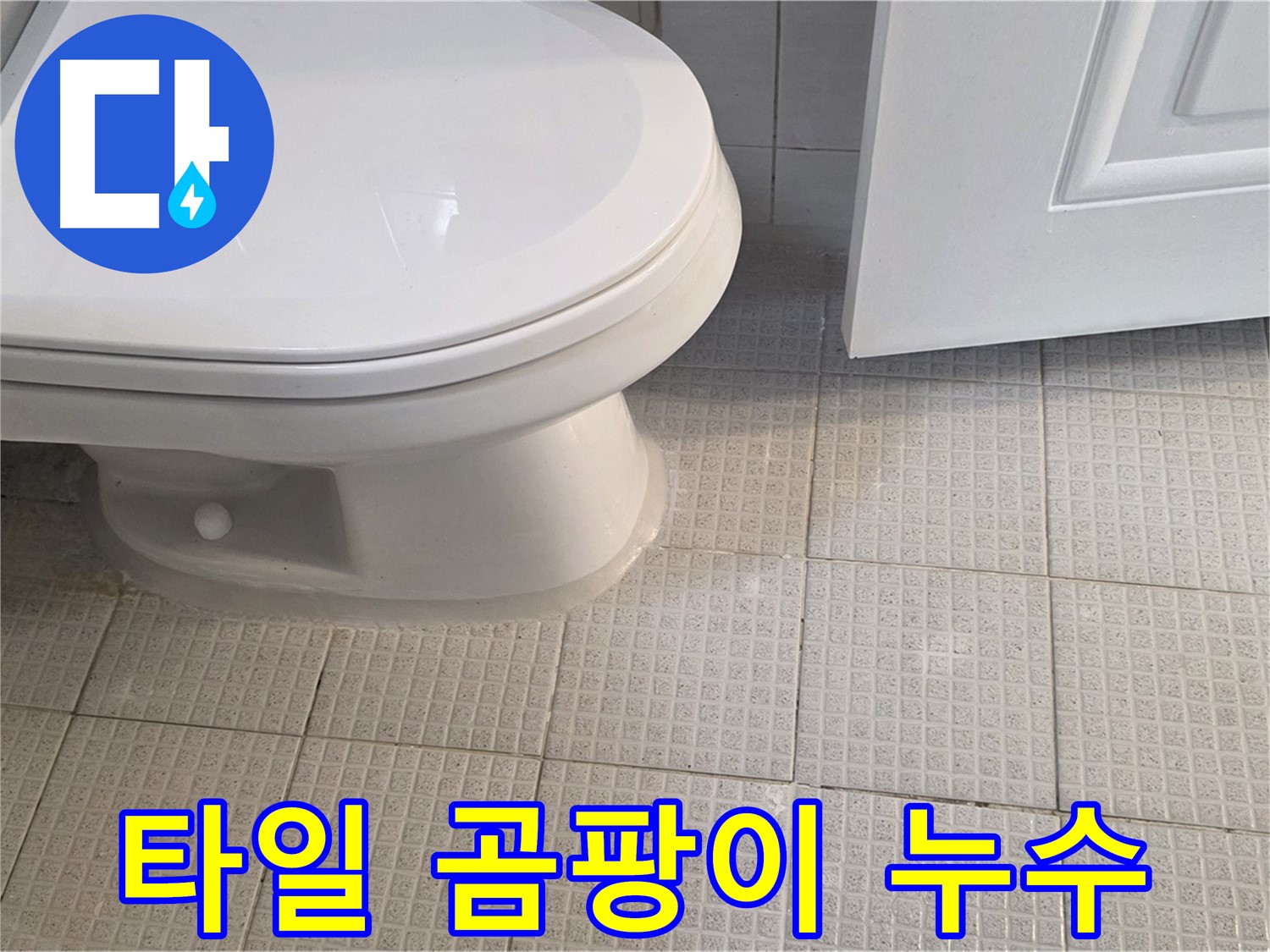 과천 문원동 변기 옆 타일 곰팡이 - 누수 의심, 꼼꼼한 점검 필요