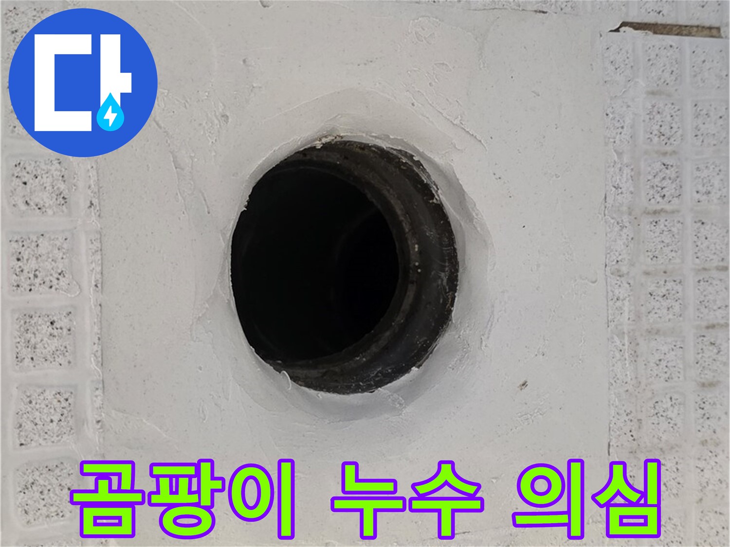 과천 문원동 욕실 곰팡이 - 배수구 주변 곰팡이 발생, 누수 의심 및 점검