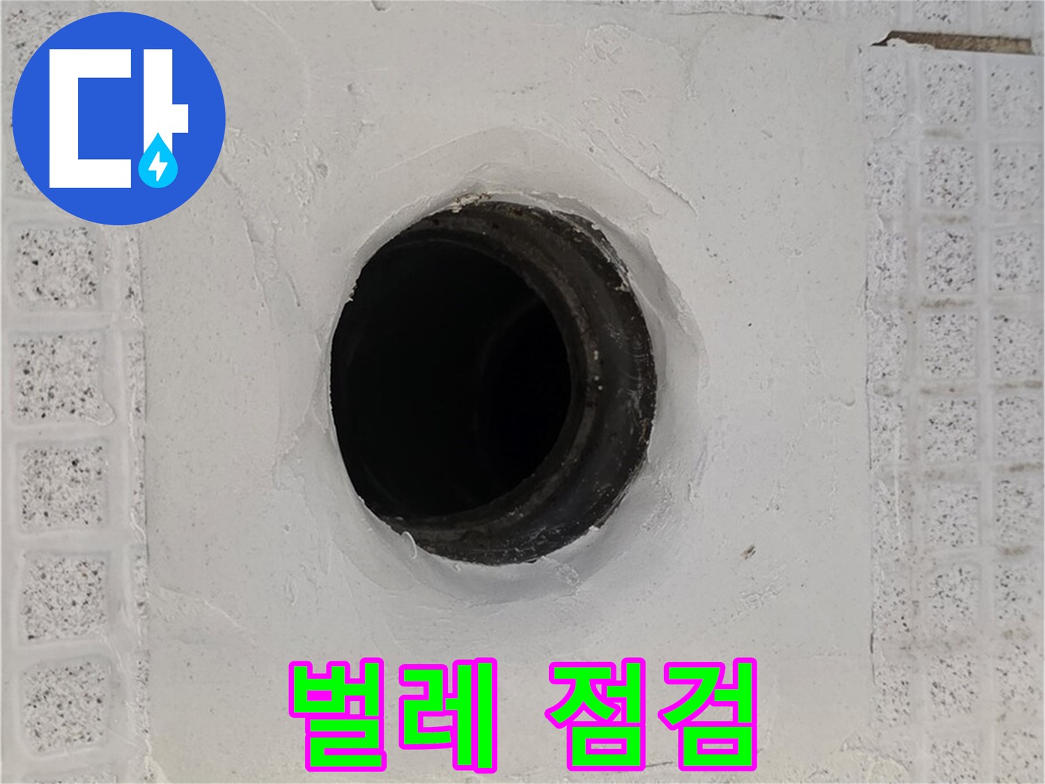 과천 문원동 욕실 누수 - 배수구 주변 벌레 출몰, 누수 관련성 점검