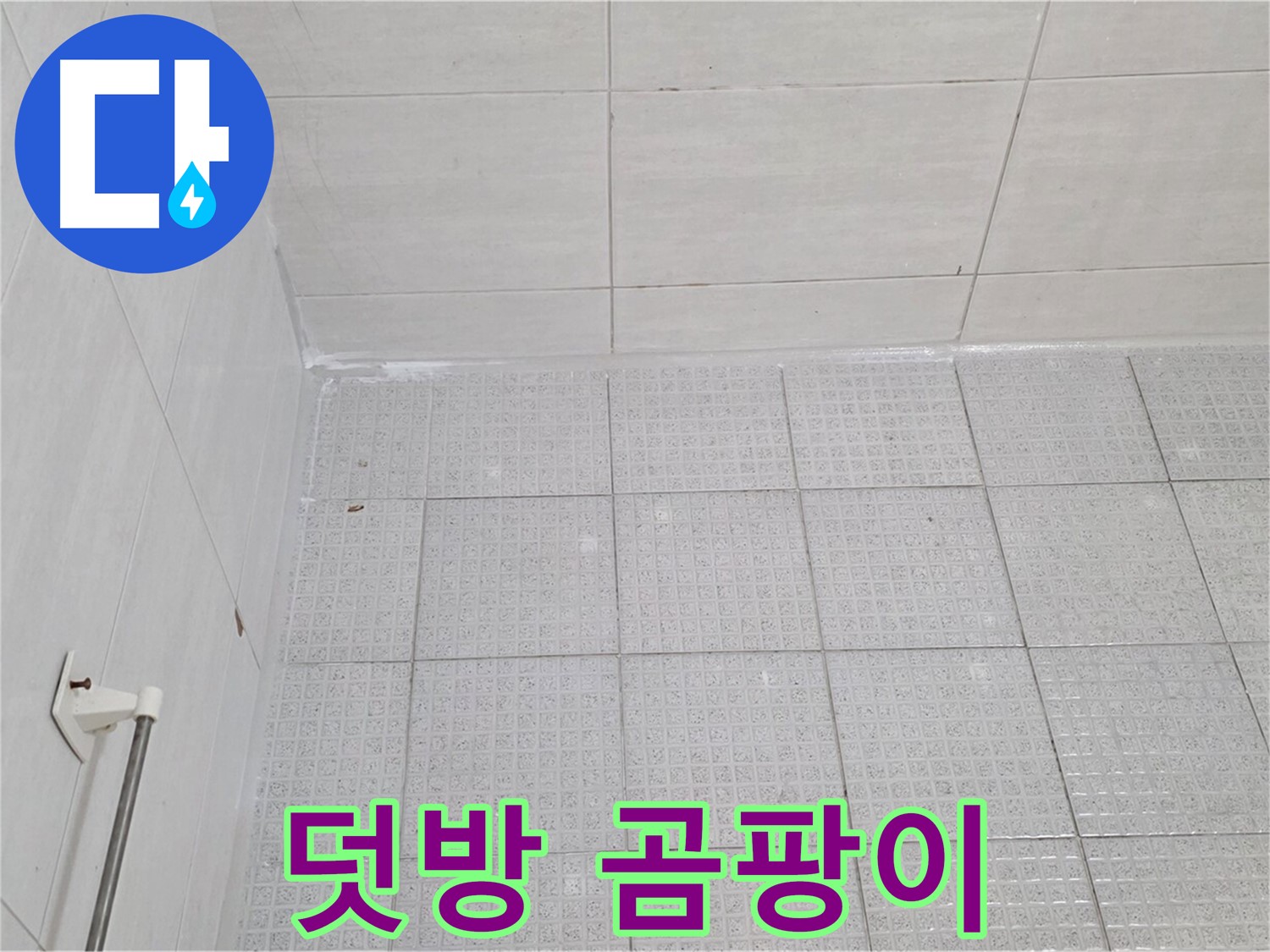 과천 욕실 타일 덧방 시공 후 곰팡이 발생 - 누수 전문가의 정확한 원인 분석