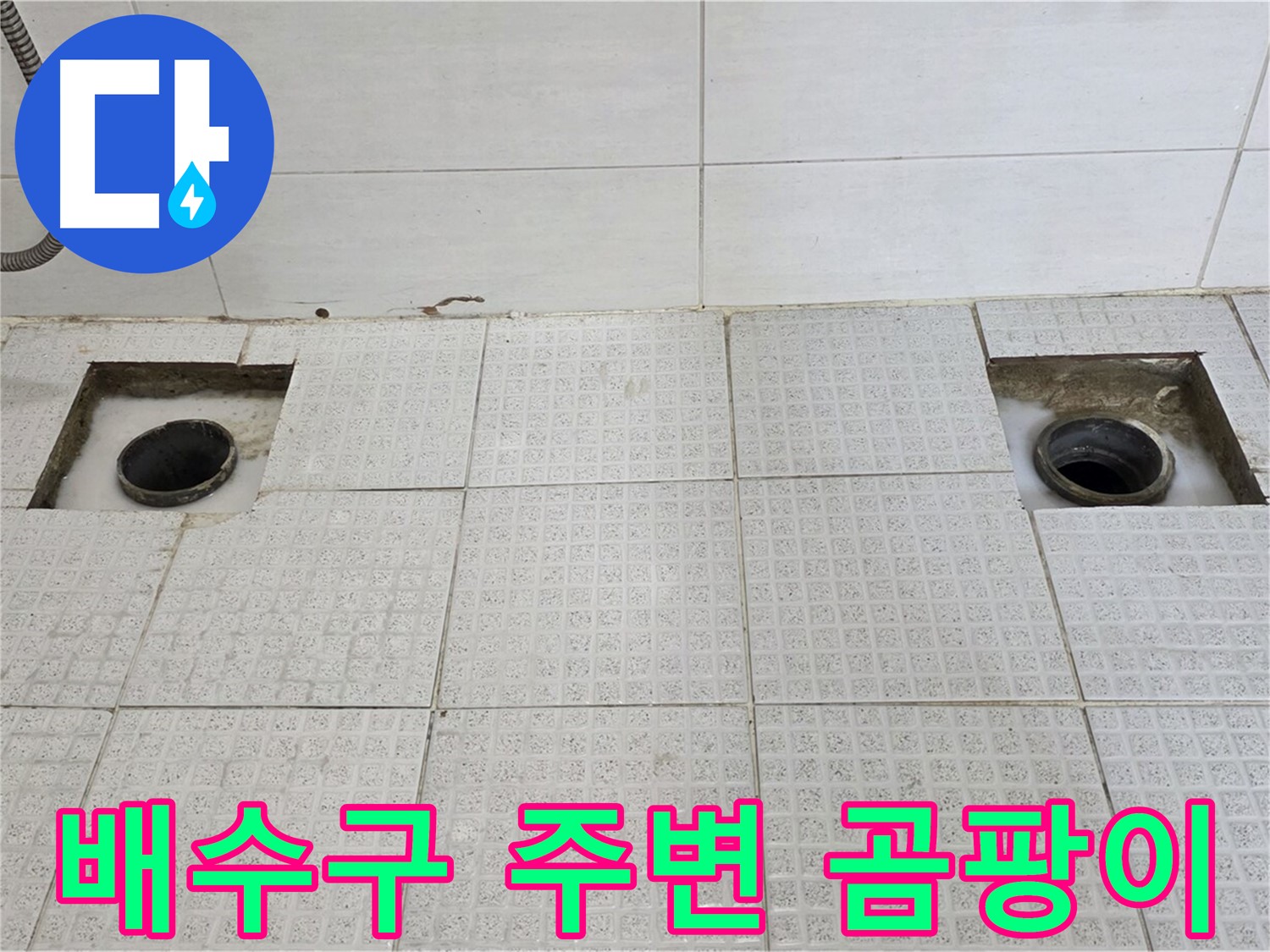 과천 중앙 하이츠 욕실 - 배수구 주변 곰팡이 발견 - 누수가 오래된 것 같아요.