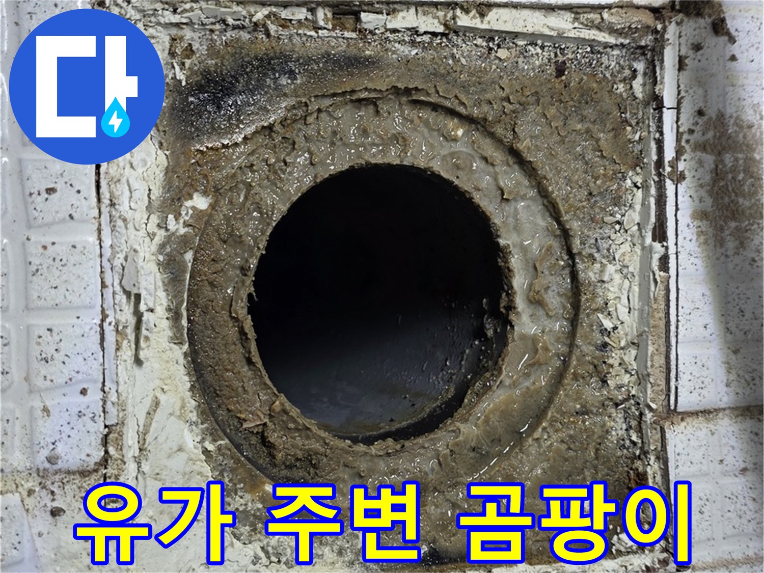 과천시 문원동 문원청계1길 욕실 유가 주변 곰팡이 발생 - 누수 가능성 높음