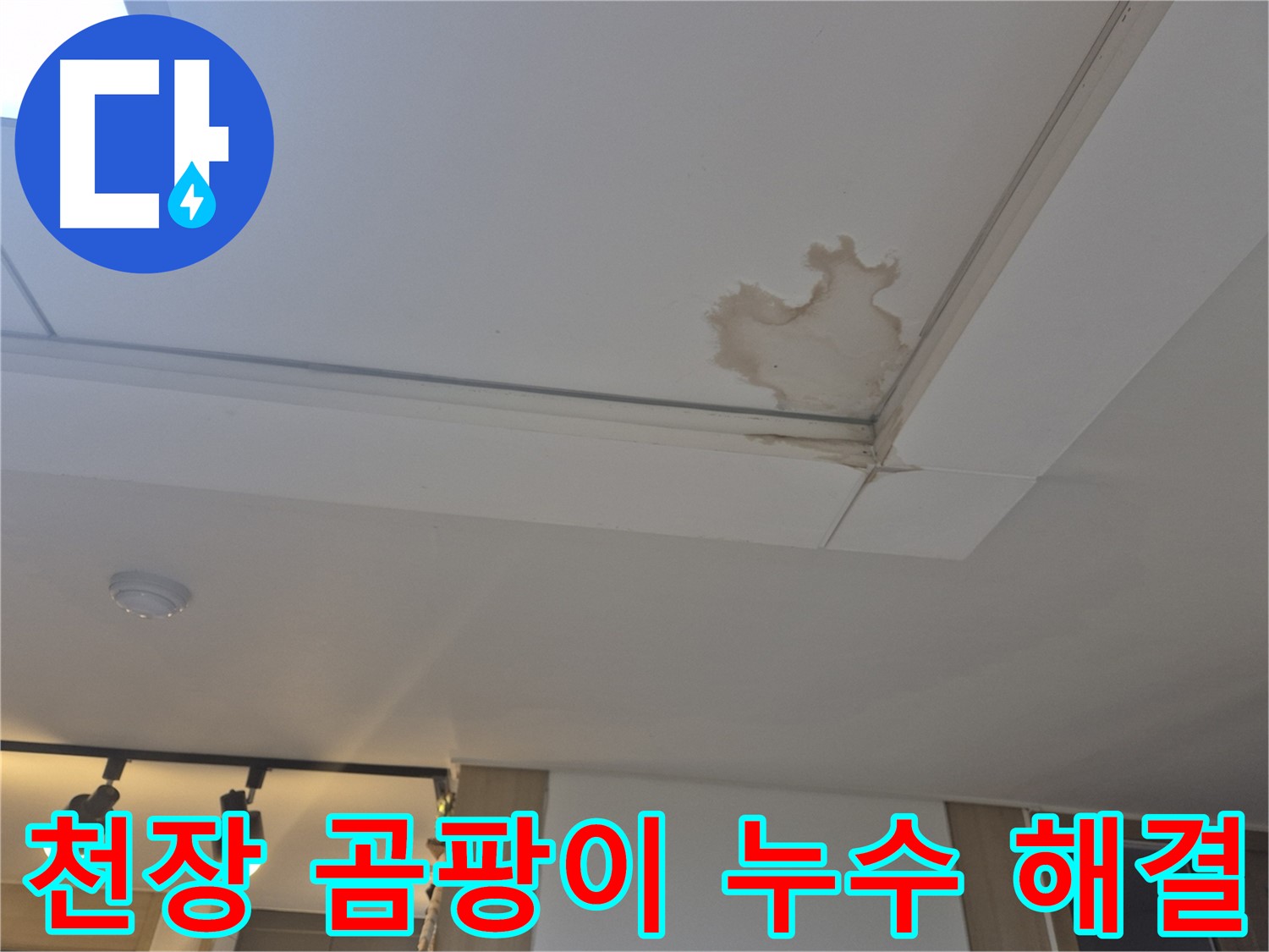 고양시 일산서구 천장 누수 - 곰팡이 발생 - 누수 해결이 최우선