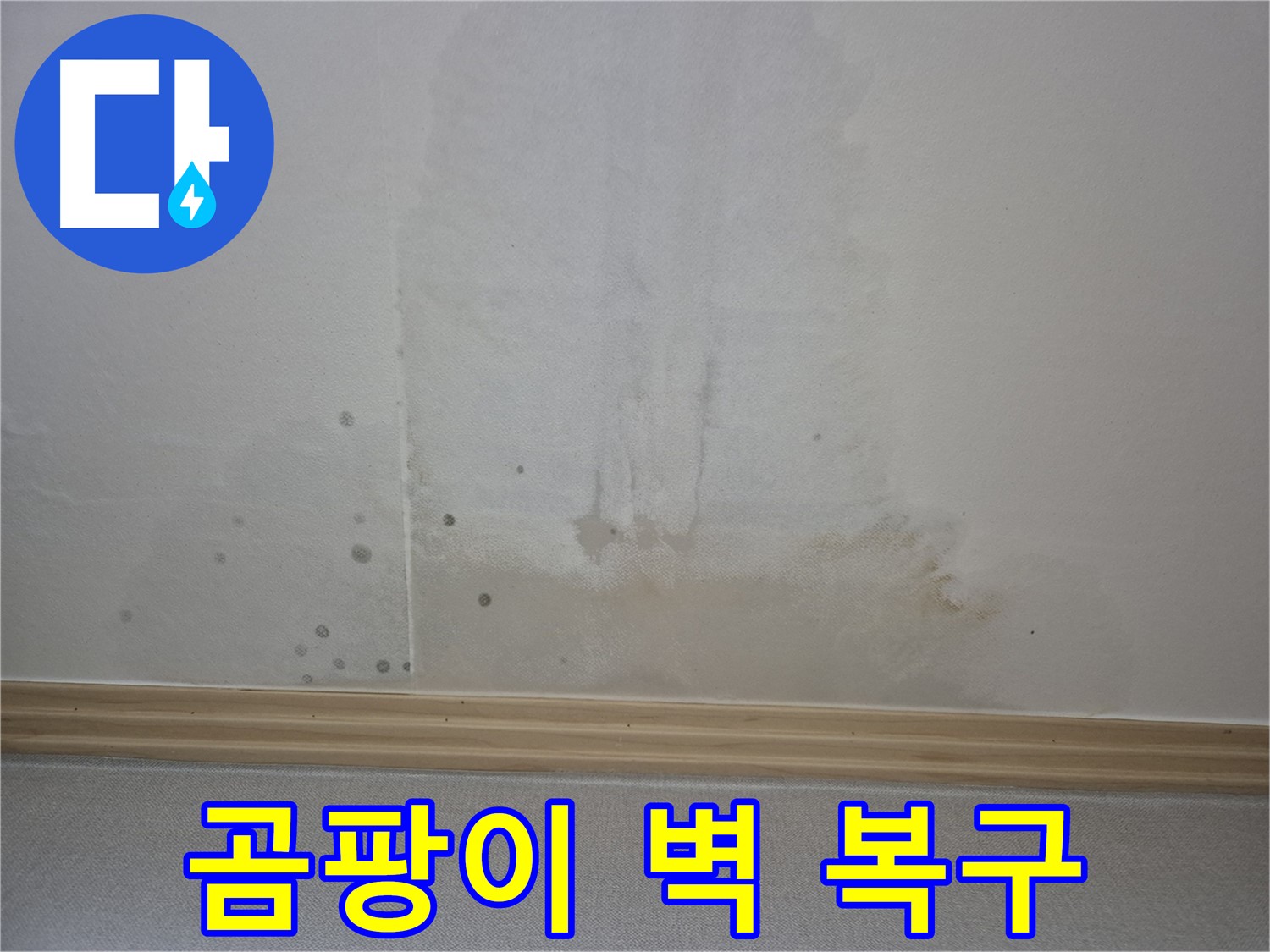 곰팡이로 뒤덮인 벽면 - 누수 문제의 심각성을 보여주는 사진