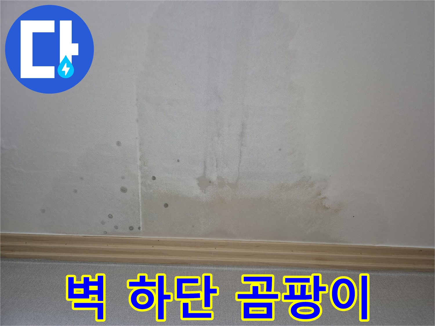 벽 하단에 곰팡이와 악취 - 심각한 누수 상황을 보여주는 사진