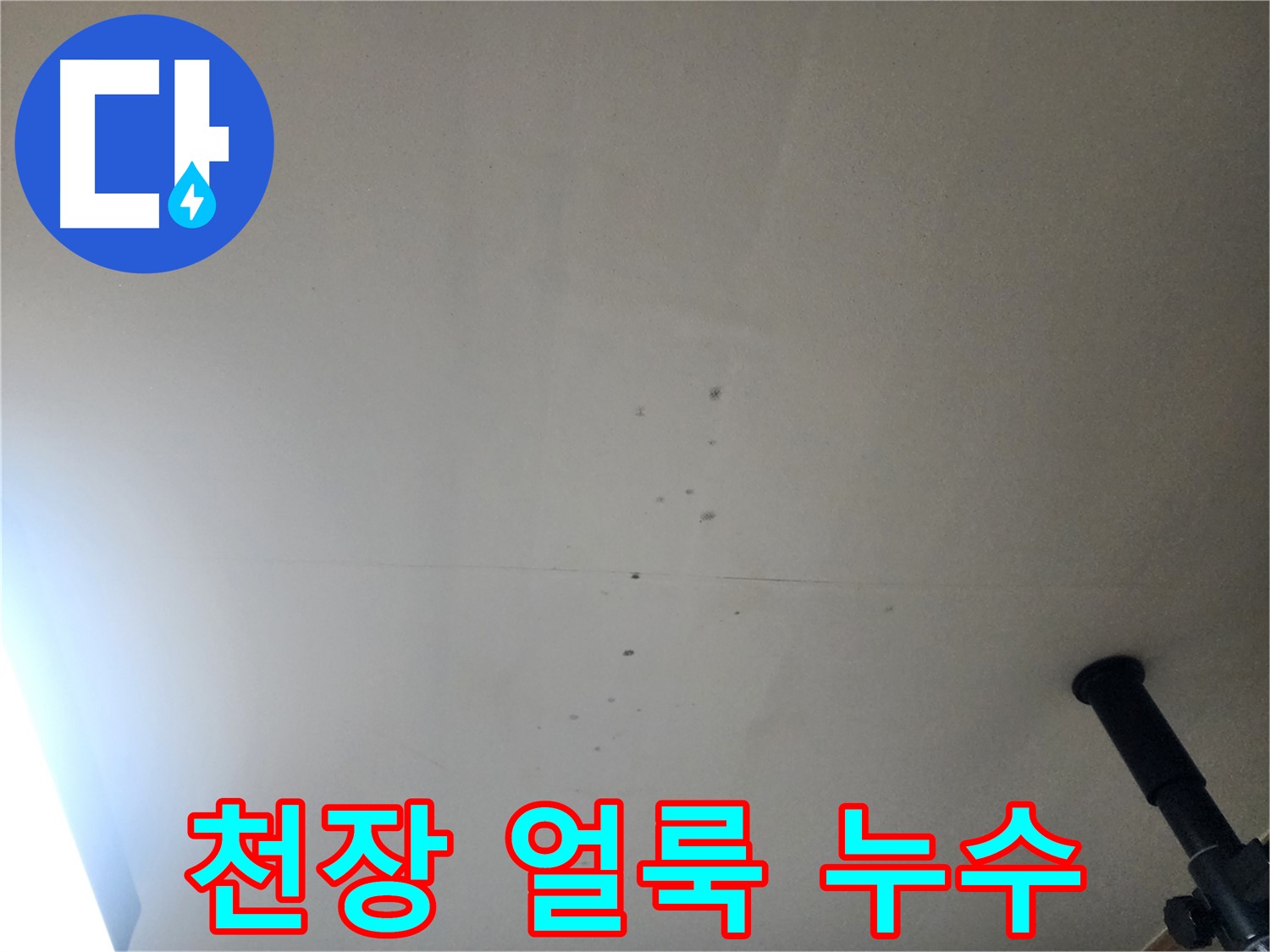 천장 얼룩 누수 - 천장 얼룩은 곰팡이 발생의 전조 증상일 수 있습니다.
