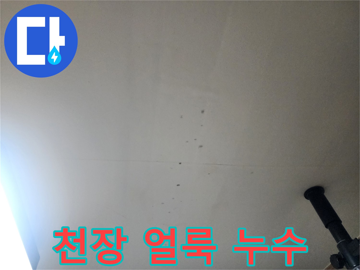천장 얼룩 누수 - 천장 얼룩은 곰팡이 발생의 전조 증상일 수 있습니다.