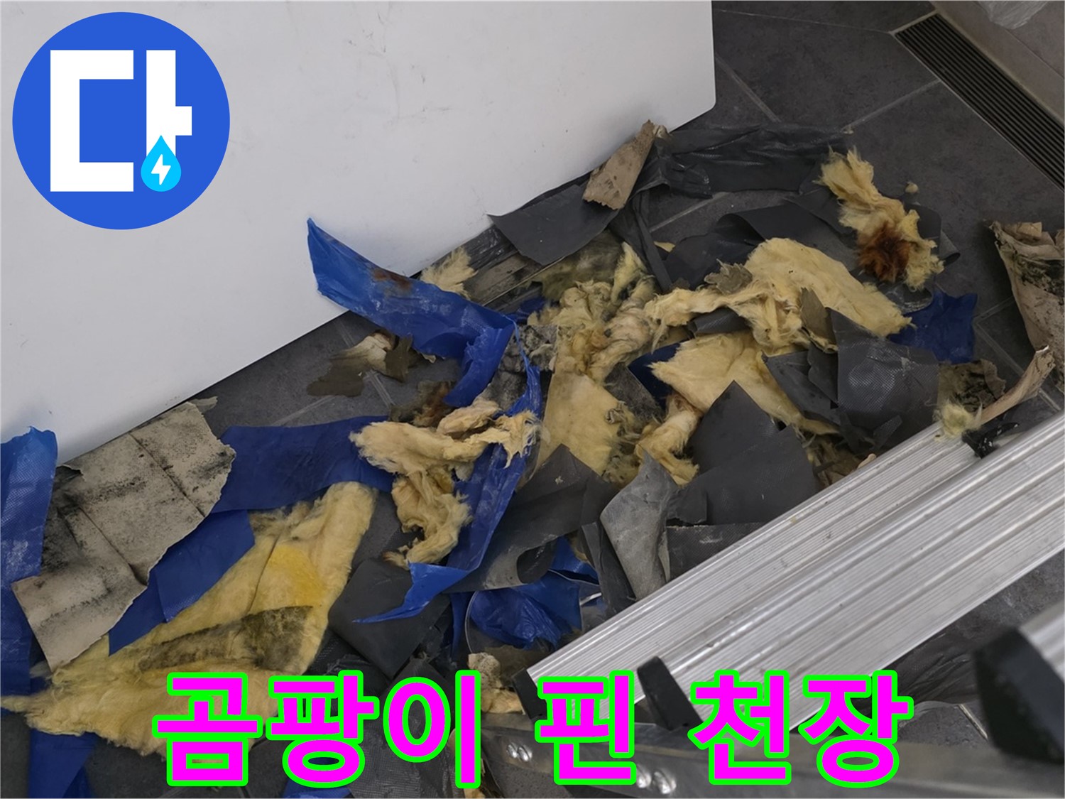 노원구 중계동 라이프청구신동아 아파트 욕실 천장 곰팡이 - 누수 문제 해결 과정