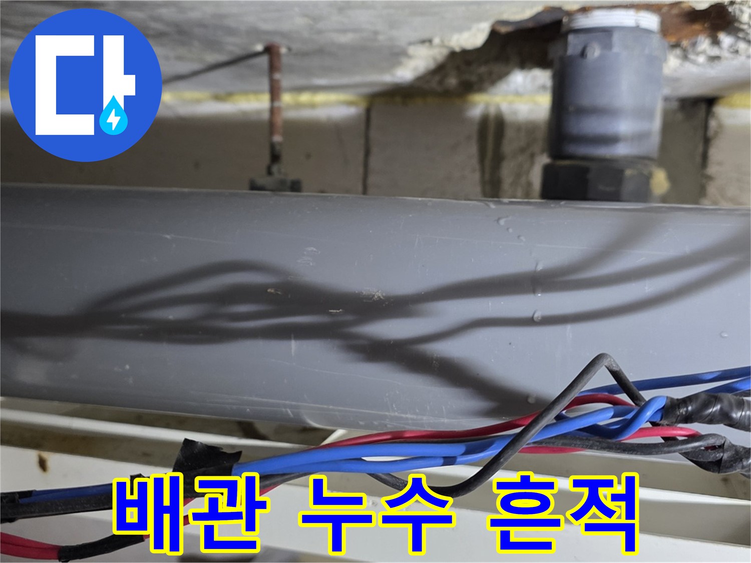 노원구 중계동 라이프청구신동아 아파트에서 발생한 배관 누수 흔적 - 누수탐지 전문가가 방문하여 정확한 원인을 파악하고 해결합니다.