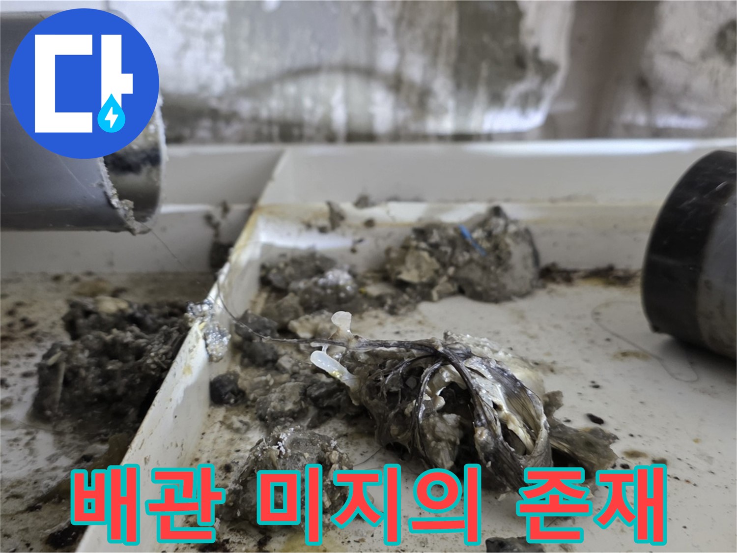 노원구 중계동 라이프청구신동아아파트 - 배관 속 '미지의 존재'와 사투, 누수 해결