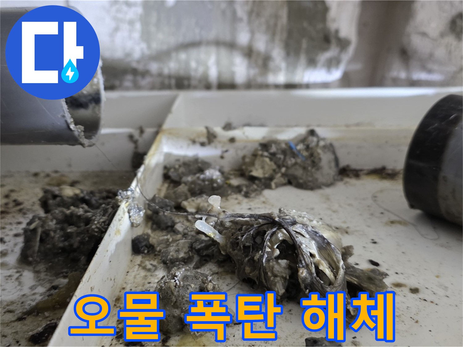 노원구 중계동 라이프청구신동아아파트 - 배관 속 '오물 폭탄' 해체, 누수 위험 제거