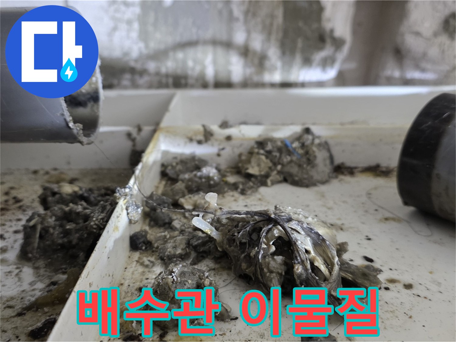 노원구 중계동 라이프청구신동아아파트 - 배수관 속 이물질 제거 현장